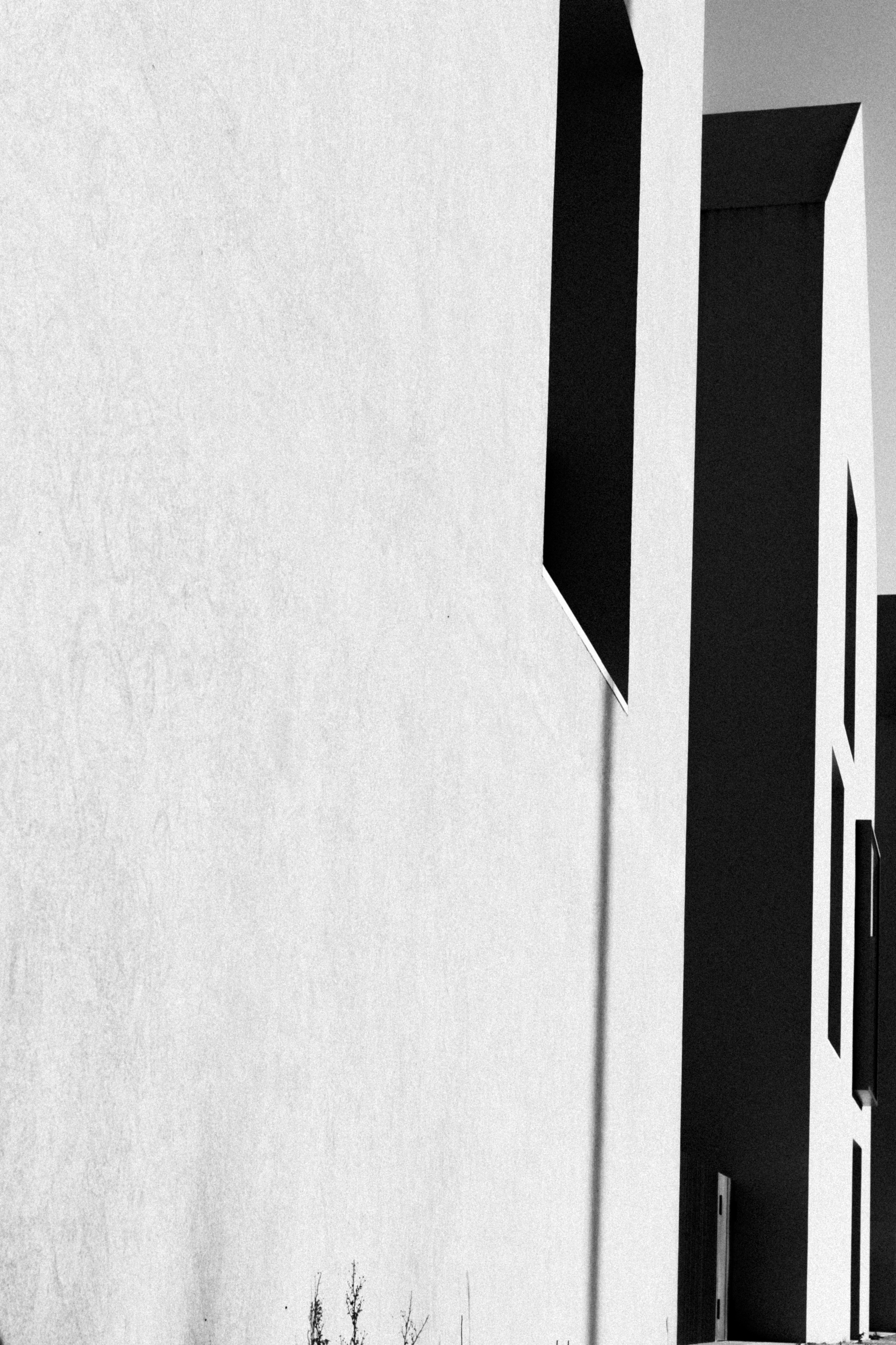 Photo by joaopratsphotography