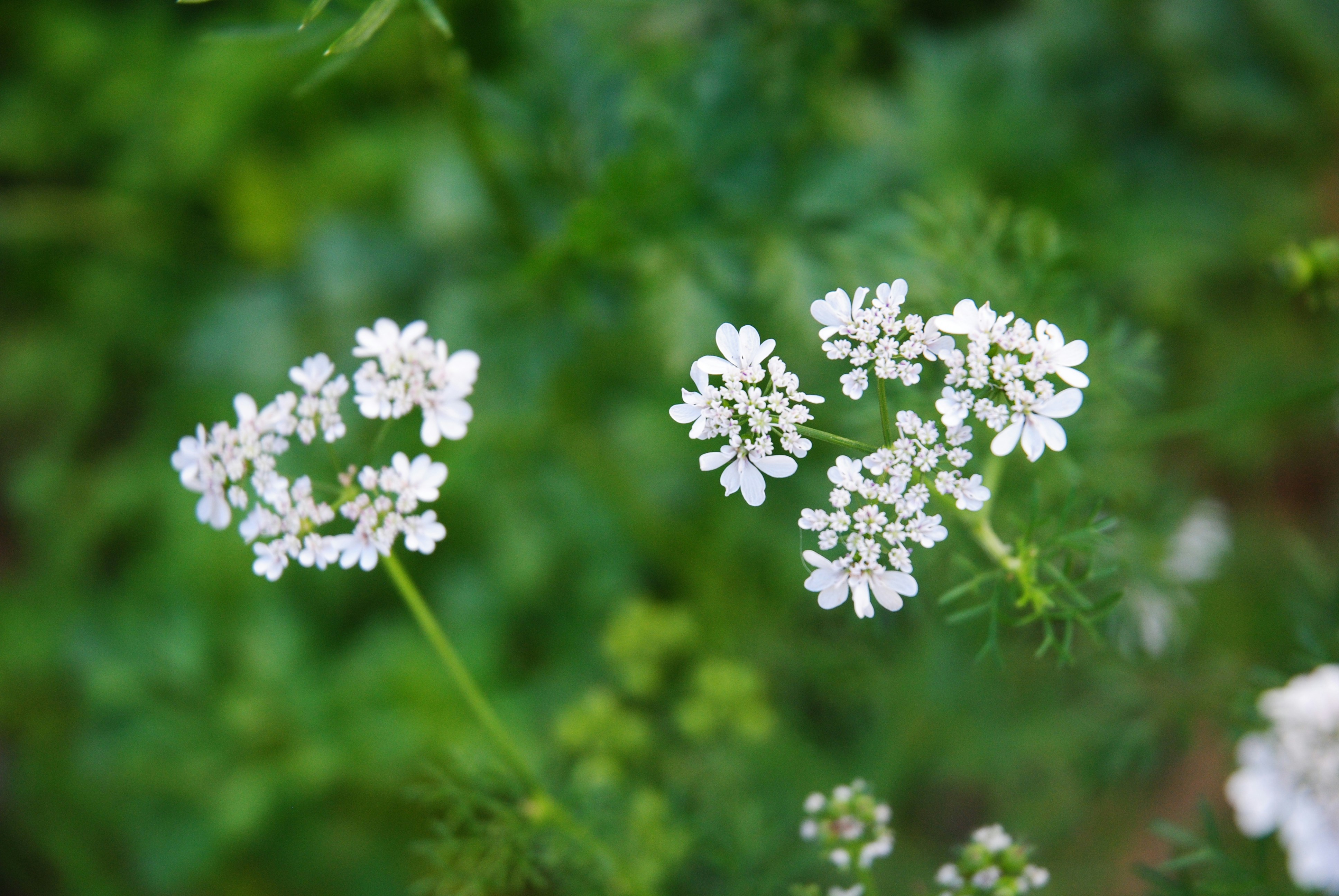 Photo by oumayma_boujelben