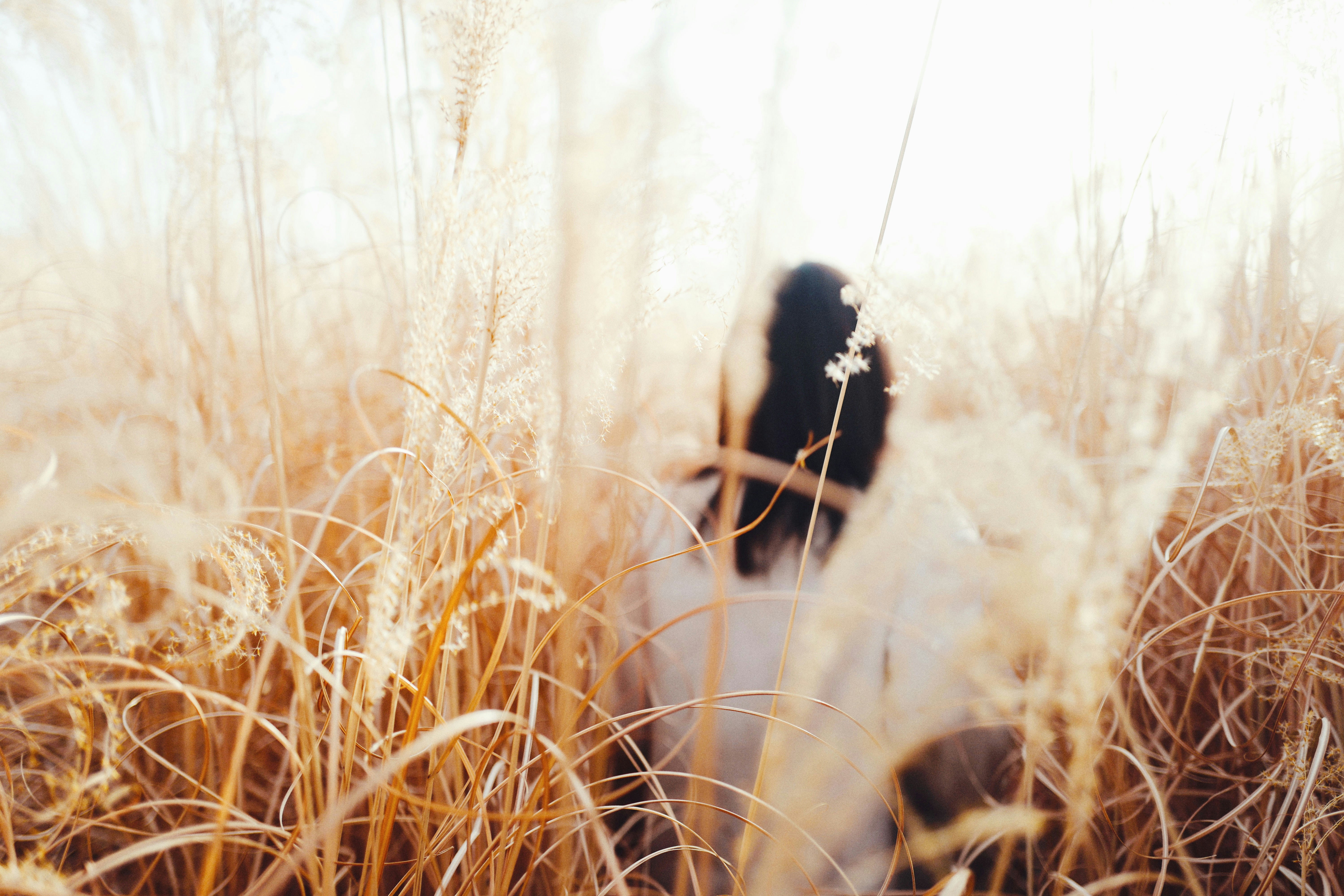 Photo by uranwang