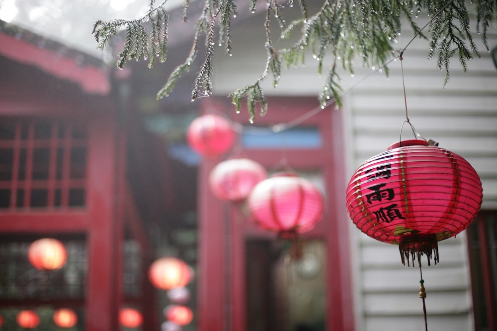 red lanterns hanging from a tree in front of a house