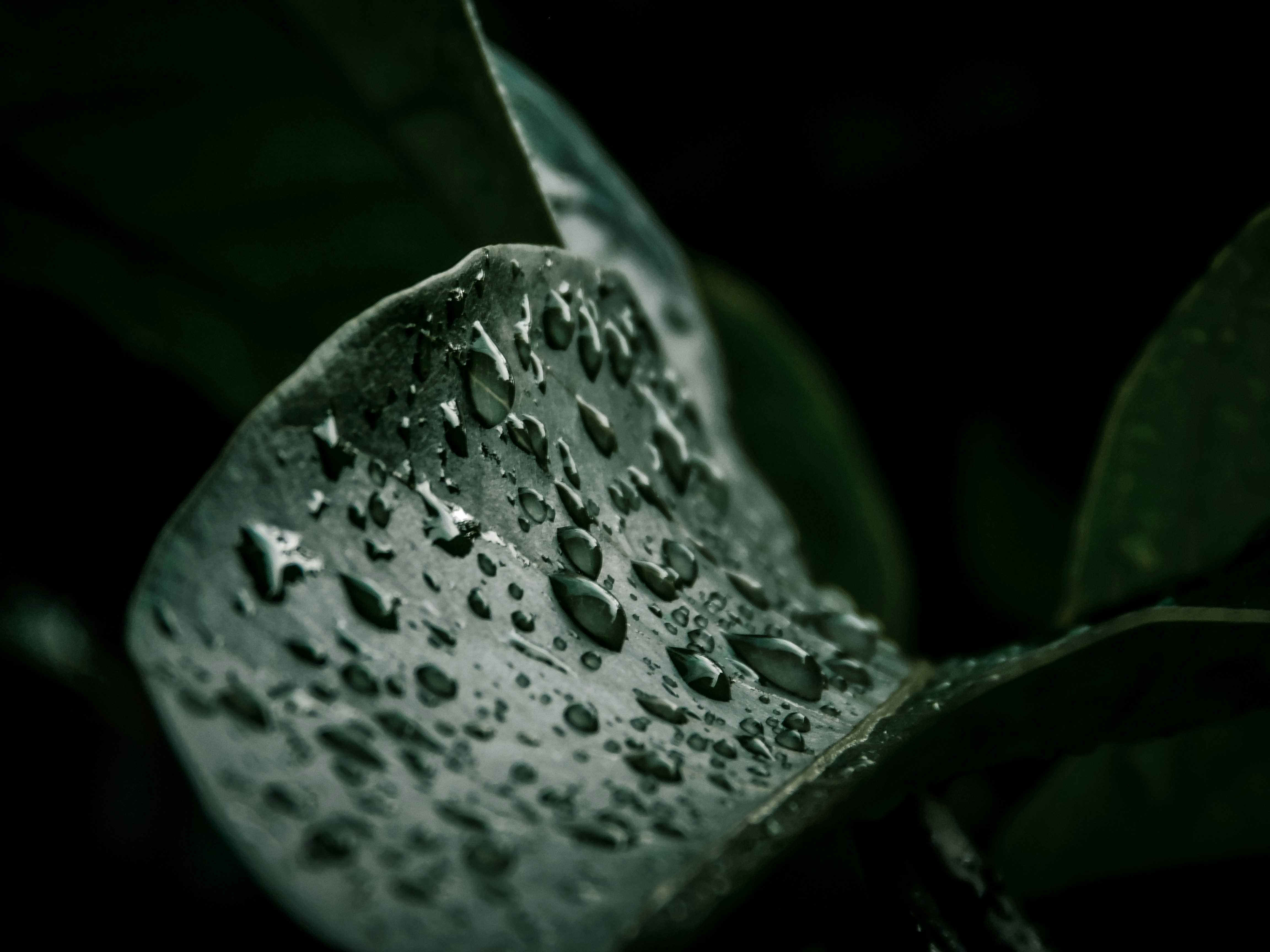 Photo by true_reflection_s