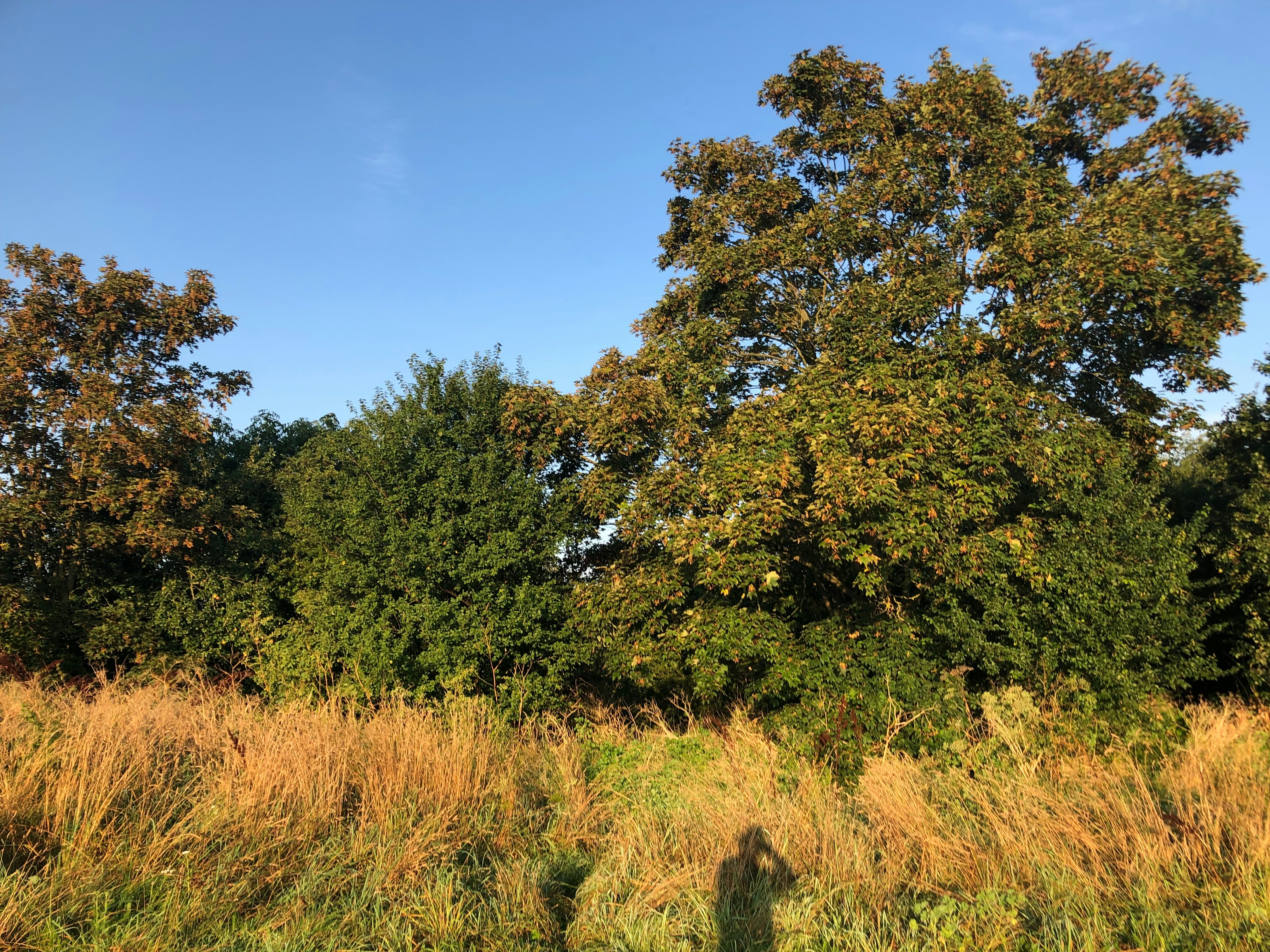 Photo by jasdeep1995