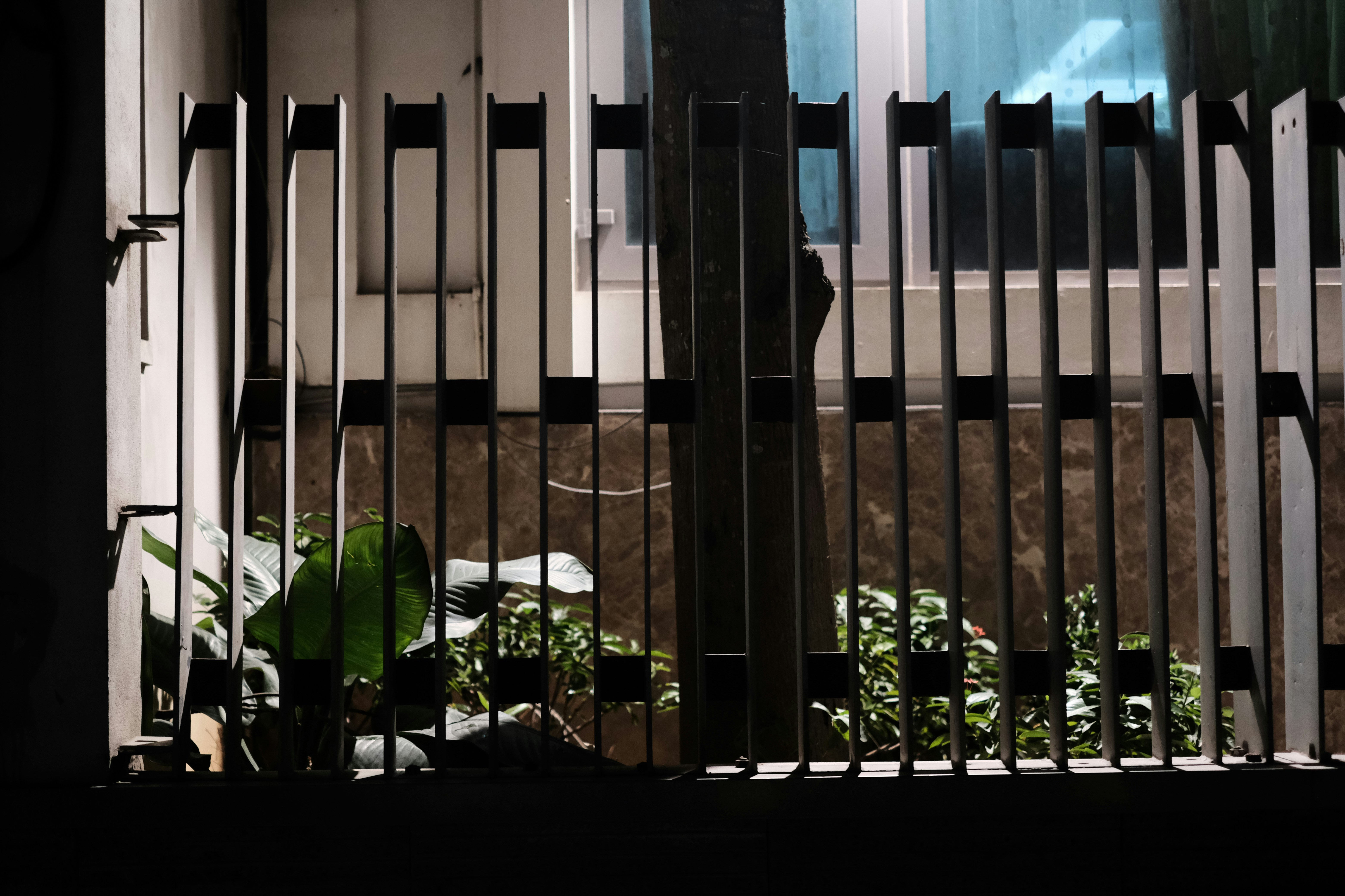 Photo by donguyenkhanhs