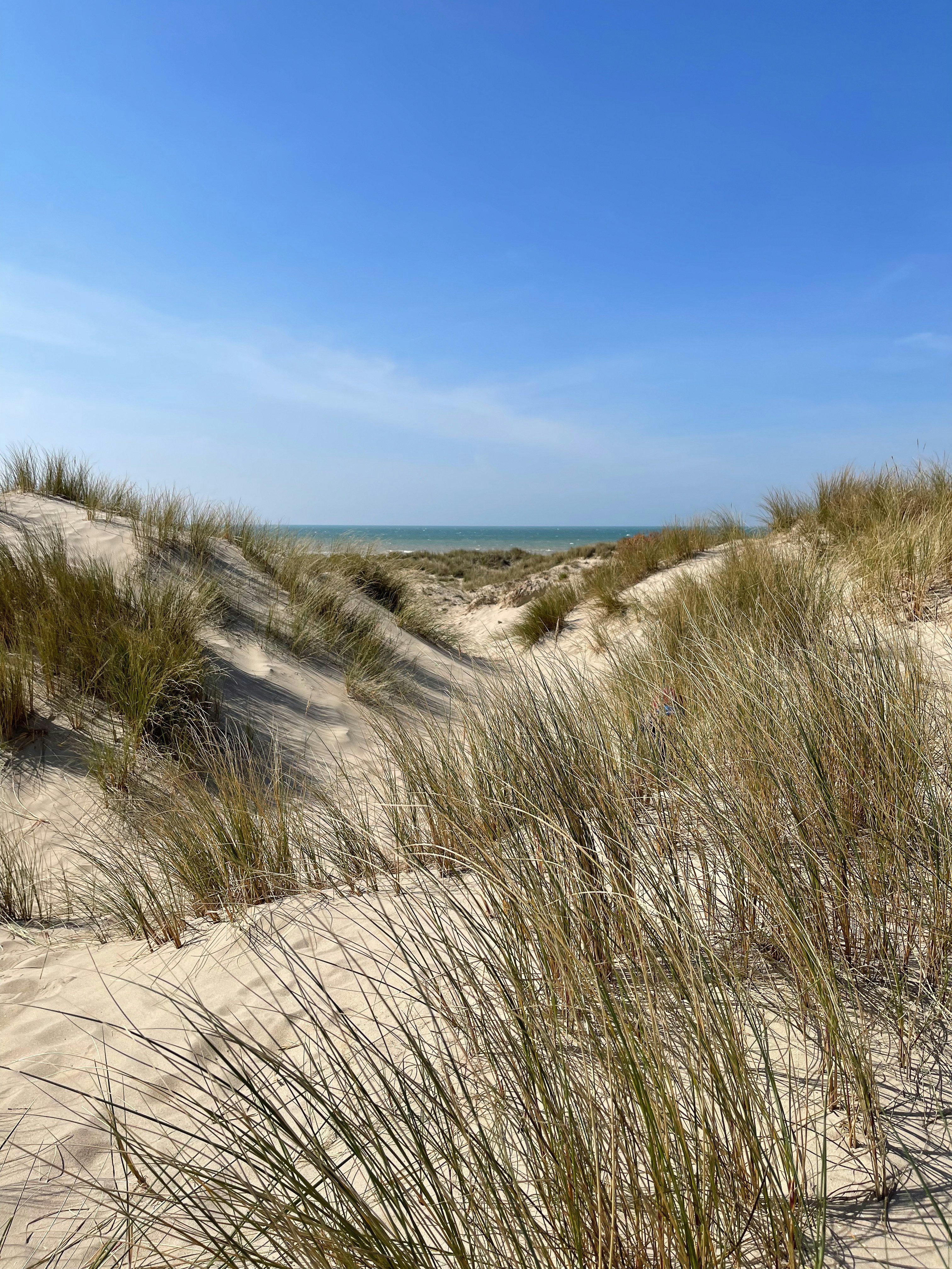 Photo by davidiscreative