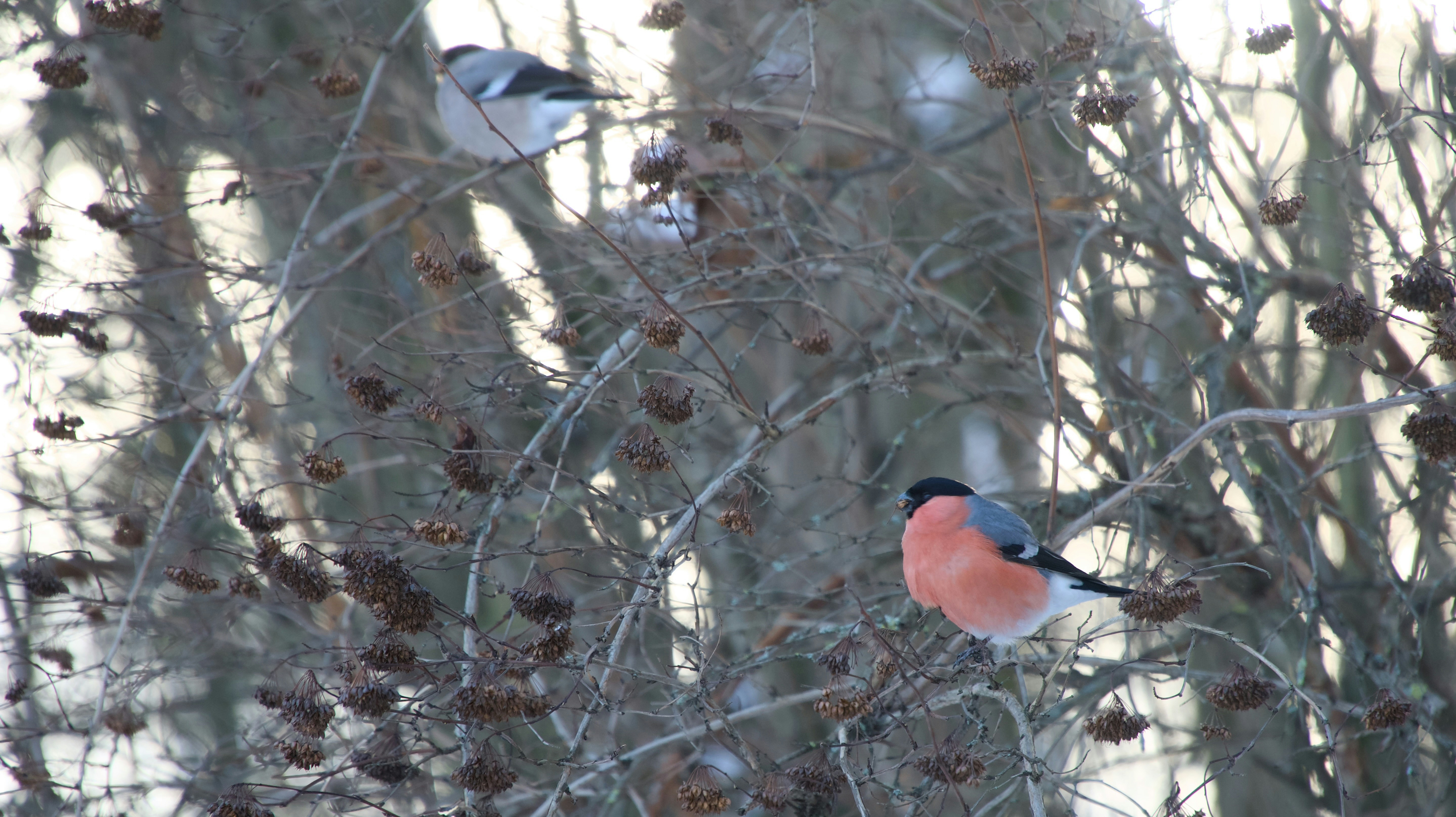 Photo by pawelprochnicki