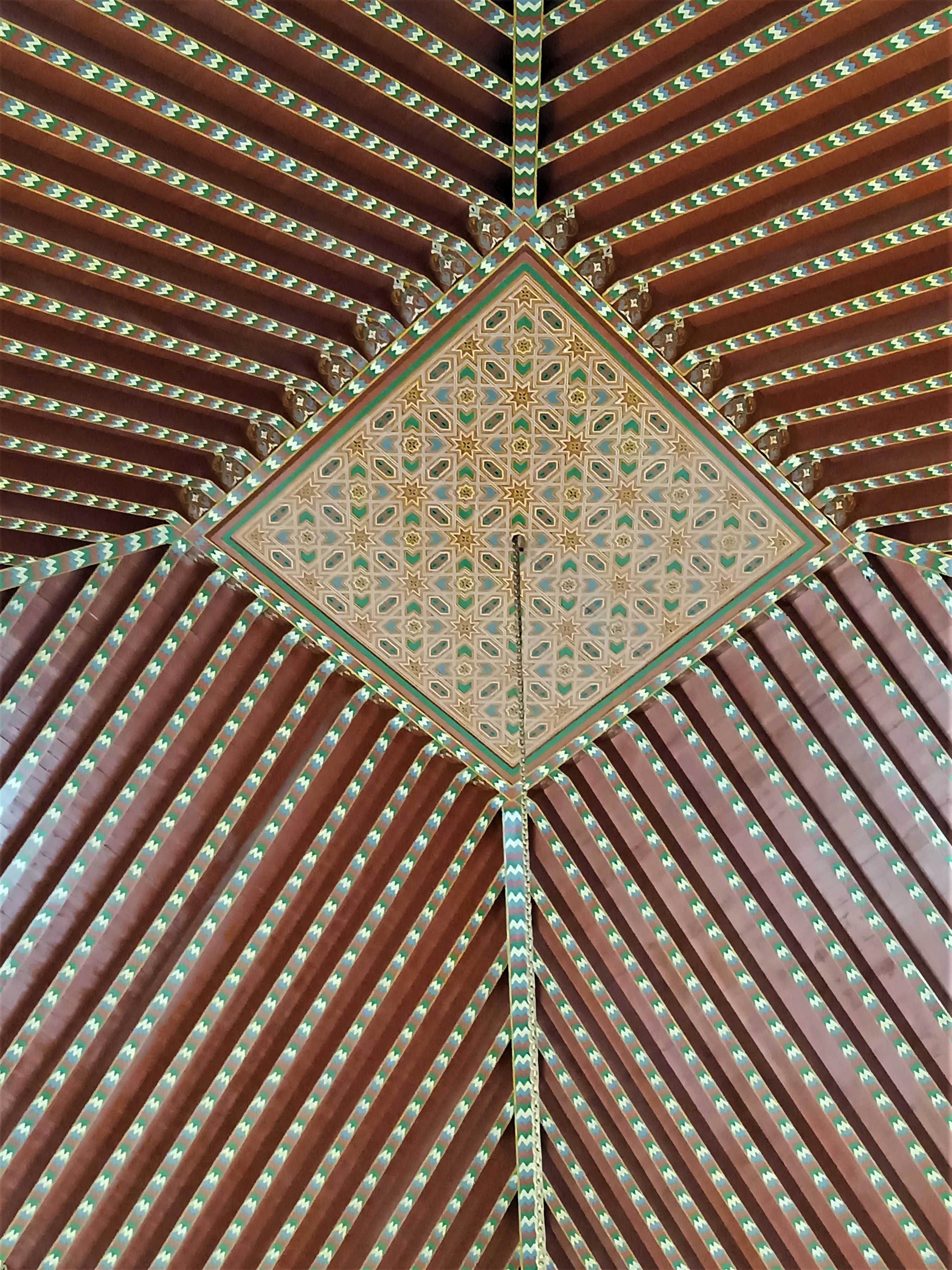 Photo by oxganggreen