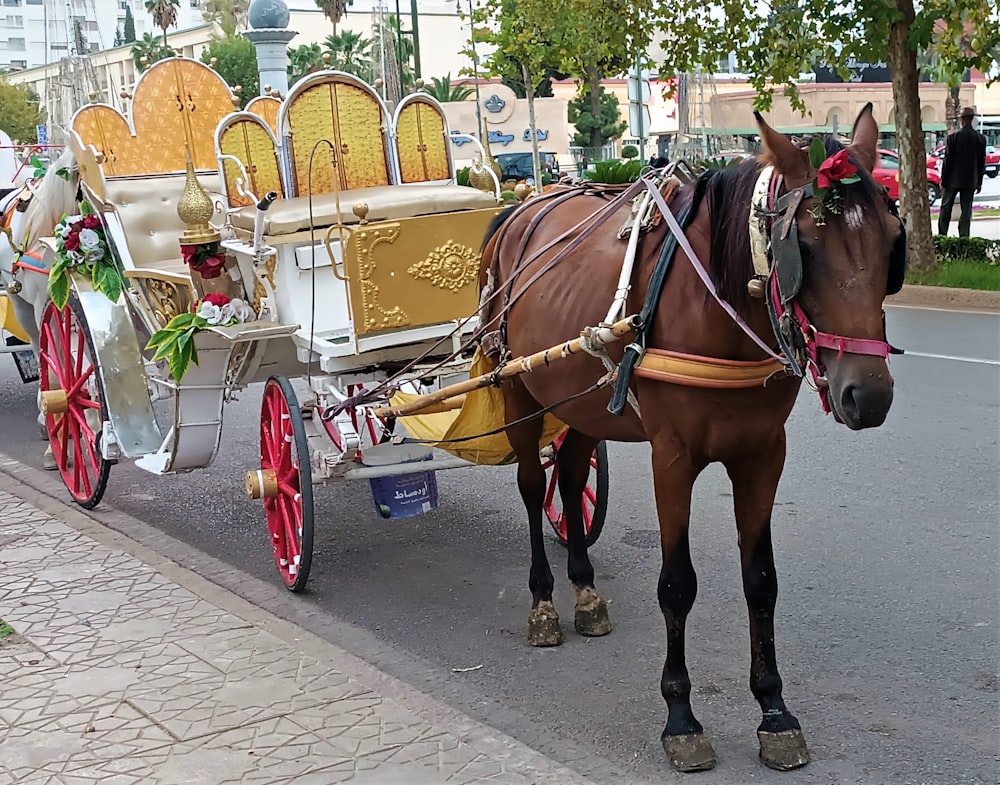 a horse pulling a carriage down a street