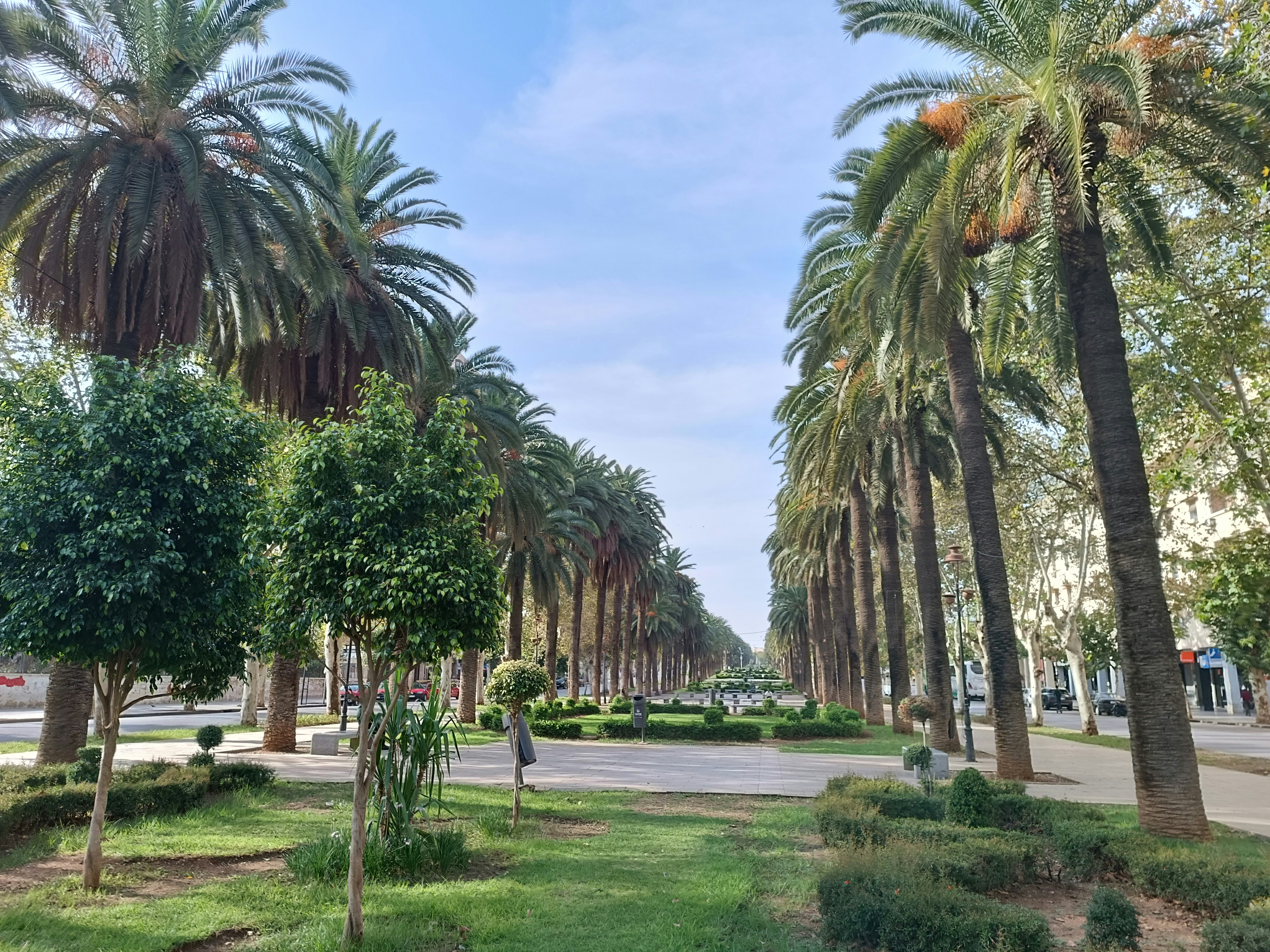 Photo by oxganggreen