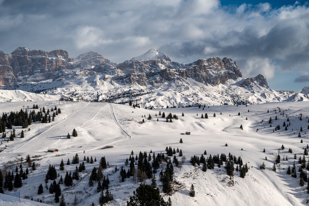 a snow covered mountain range with trees in the foreground