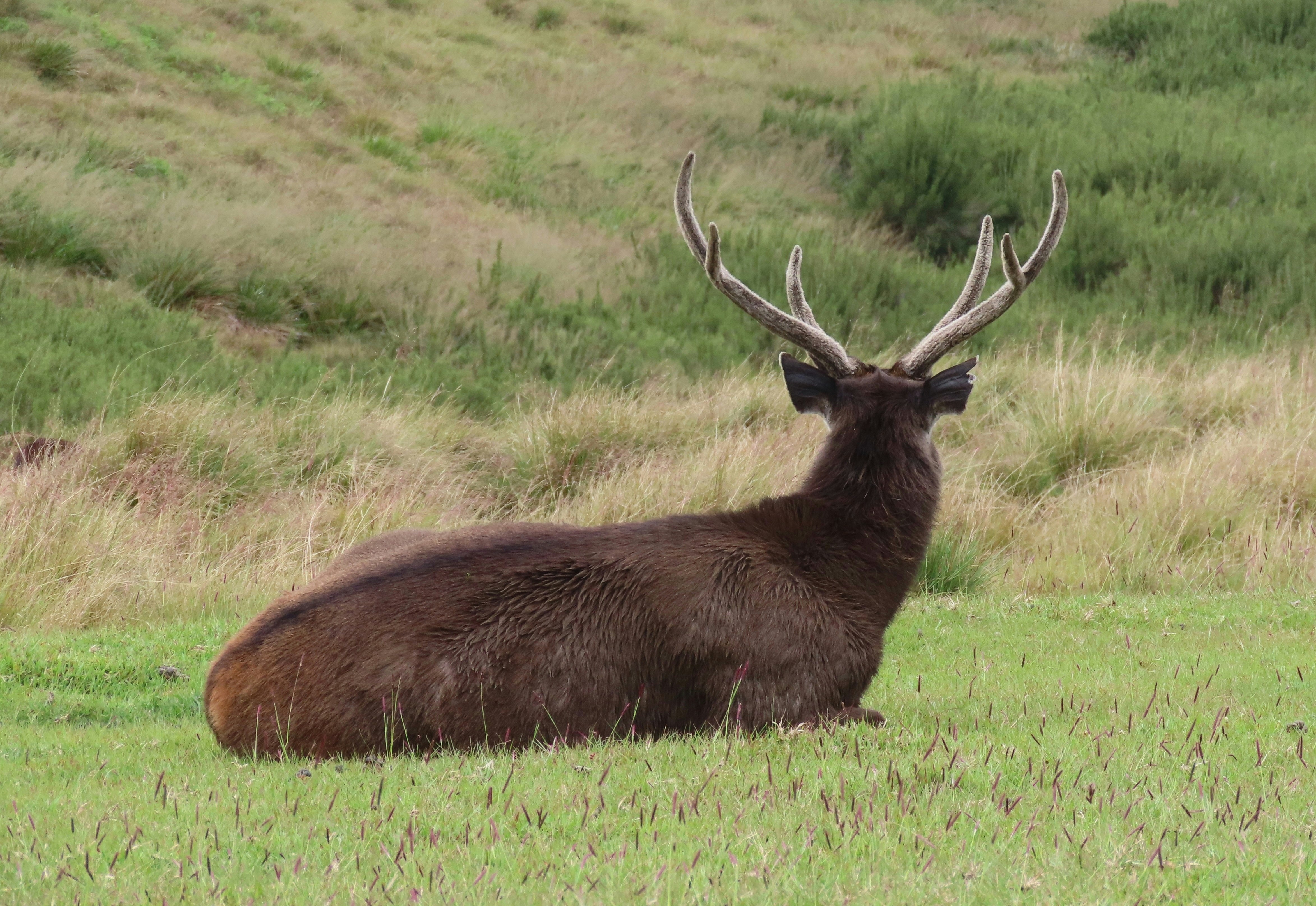 Photo by wildlifeserendipitywithbianca