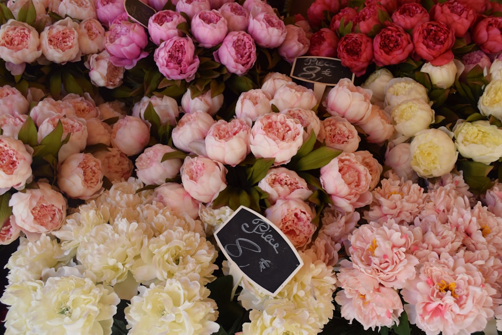 a bunch of pink and white flowers on display