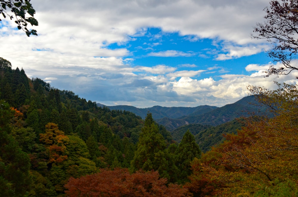 a view of the mountains and trees from a distance