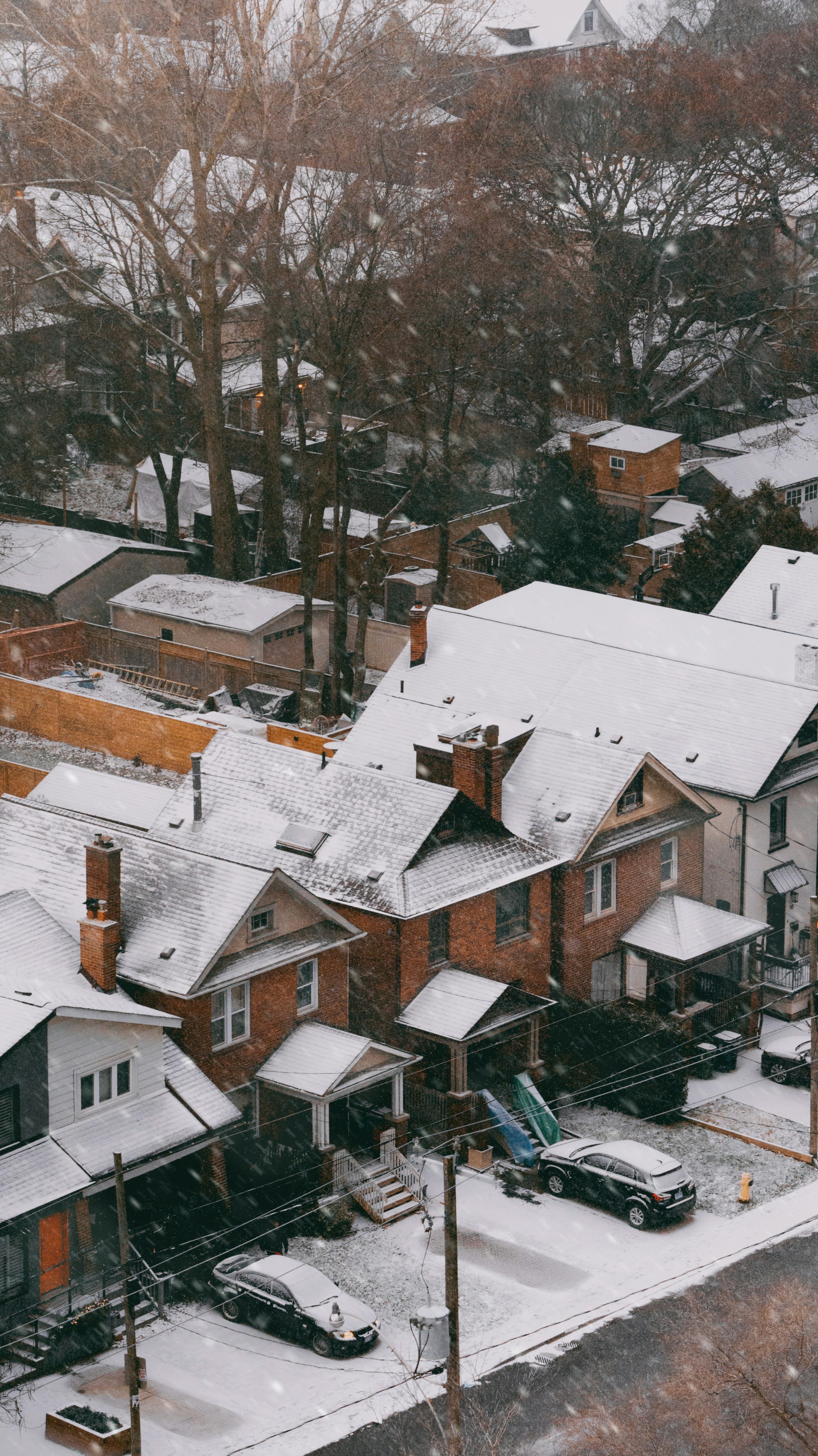 Photo by dougschneiders