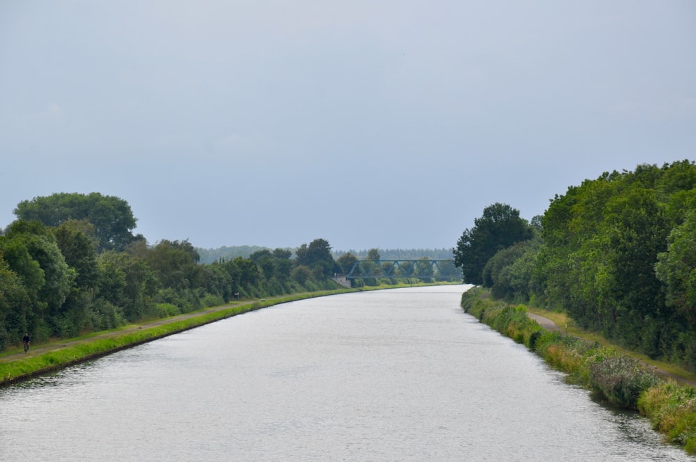 a river running through a lush green forest