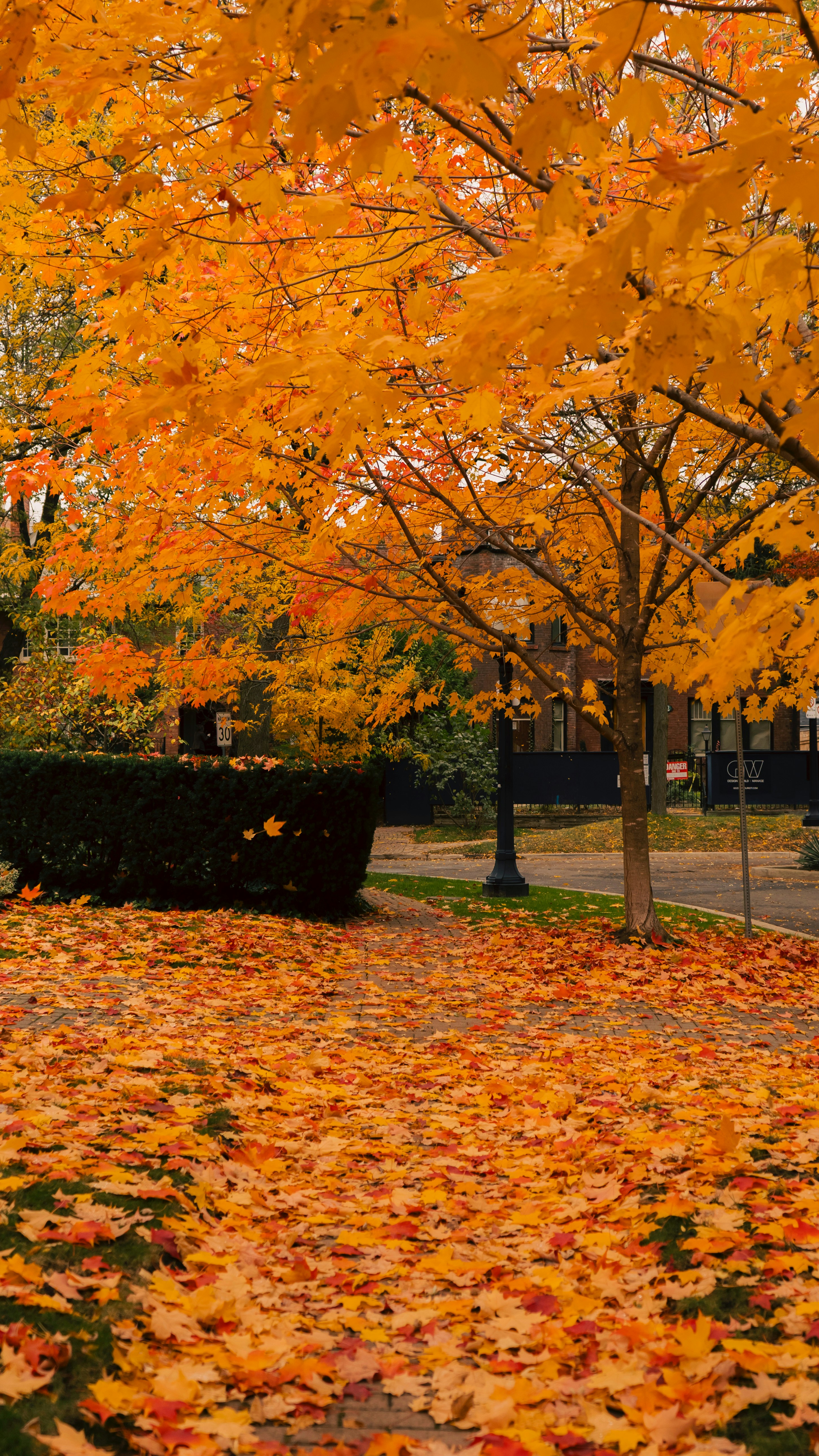 Photo by dougschneiders