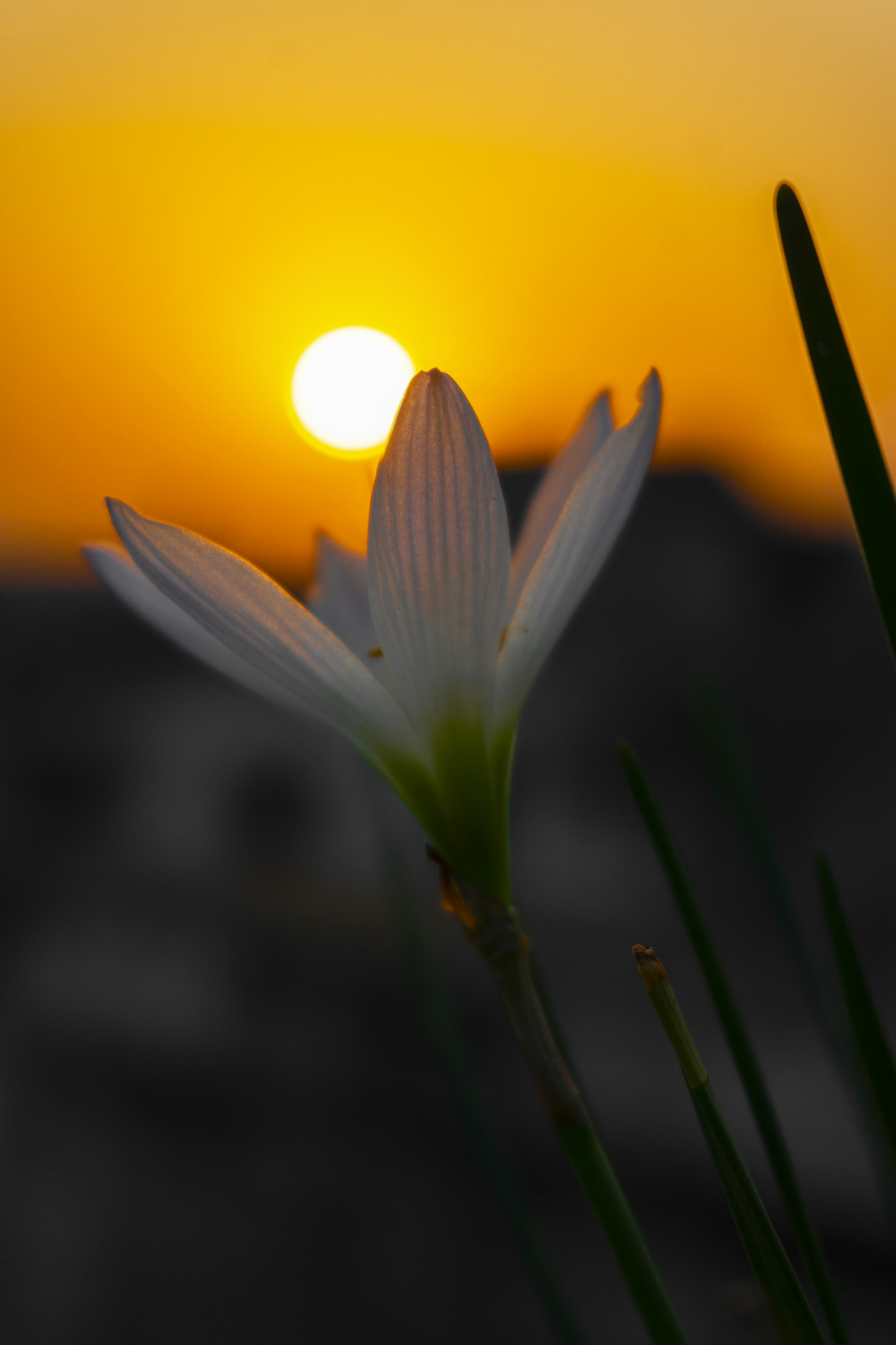 Photo by drofficial_96