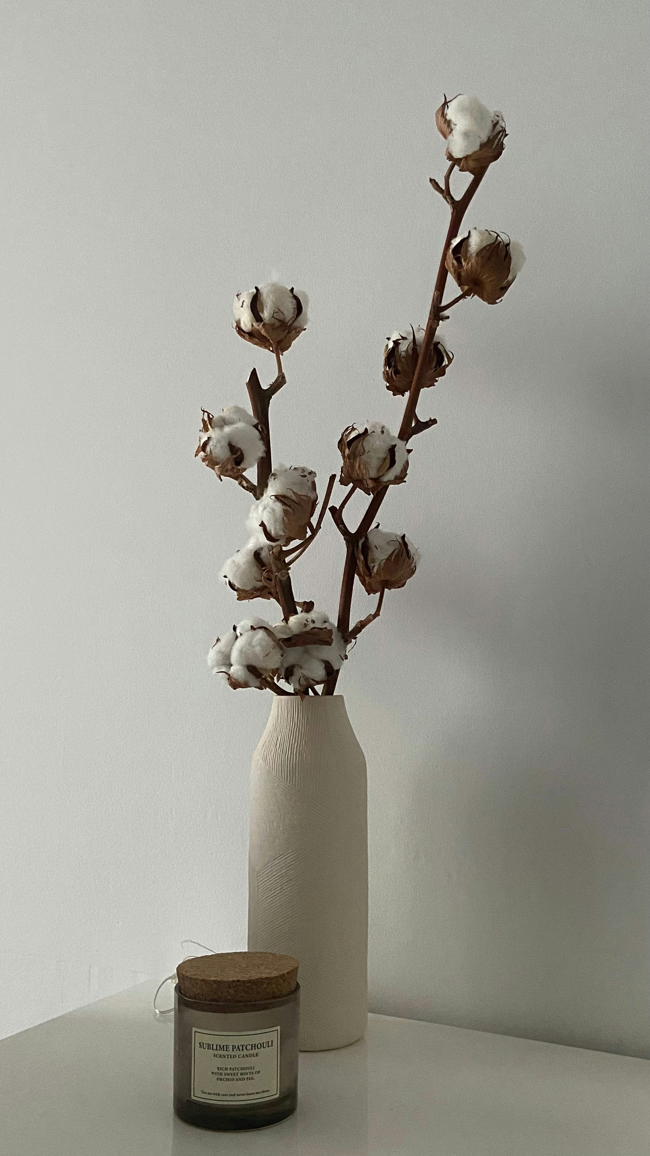 Photo by susha_susha