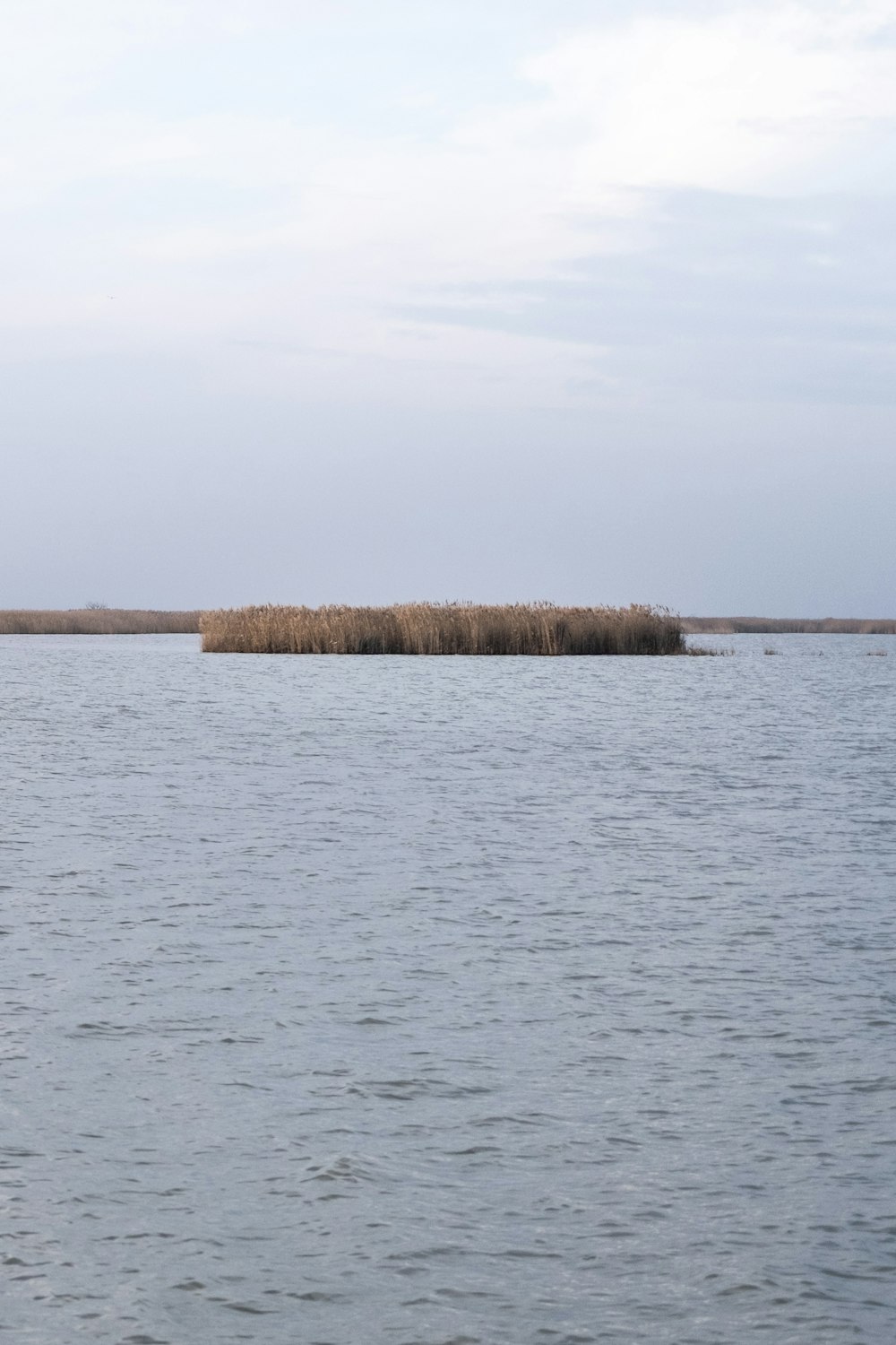 a small island in the middle of a body of water