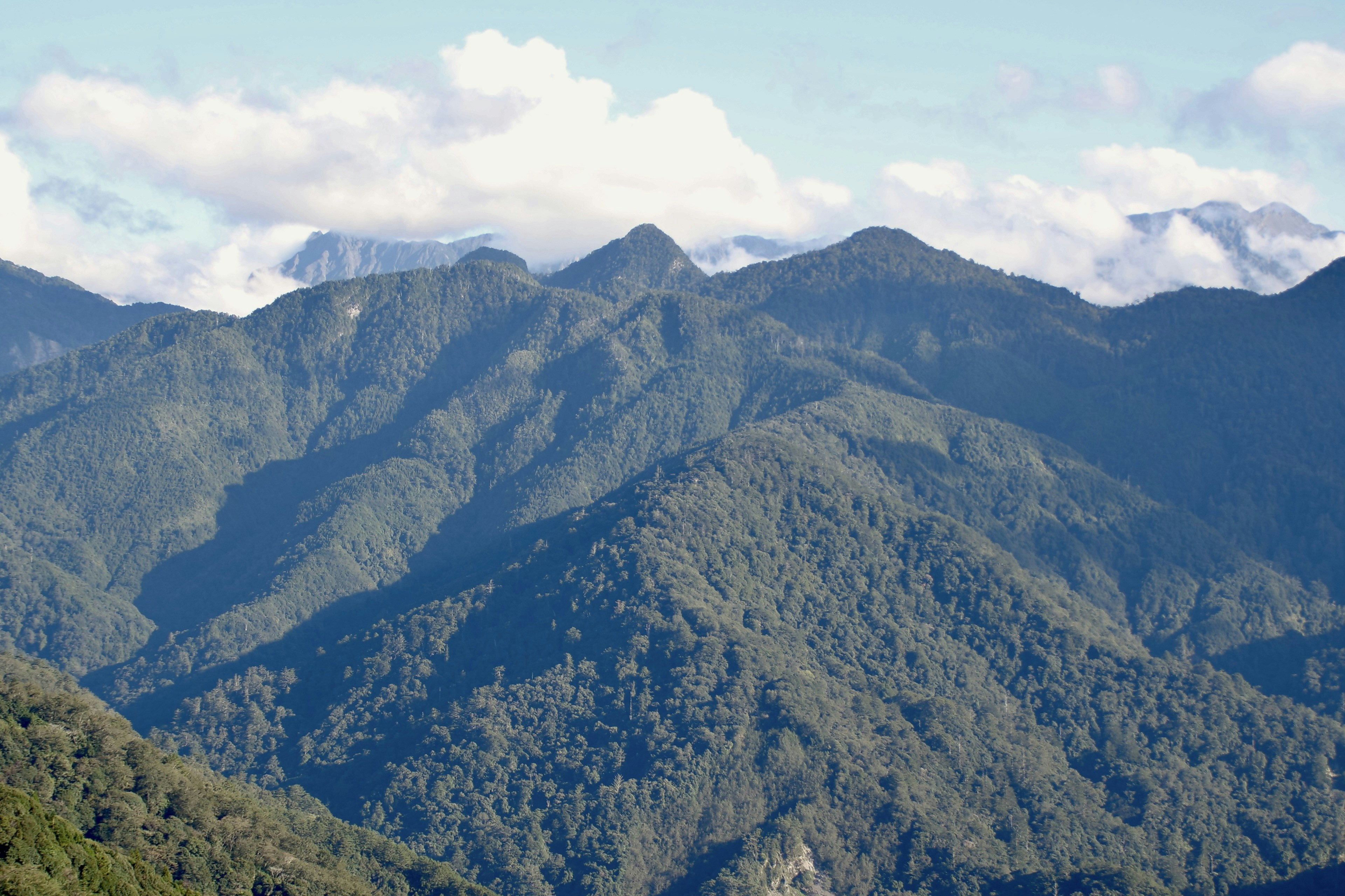 Photo by cocoshalalala