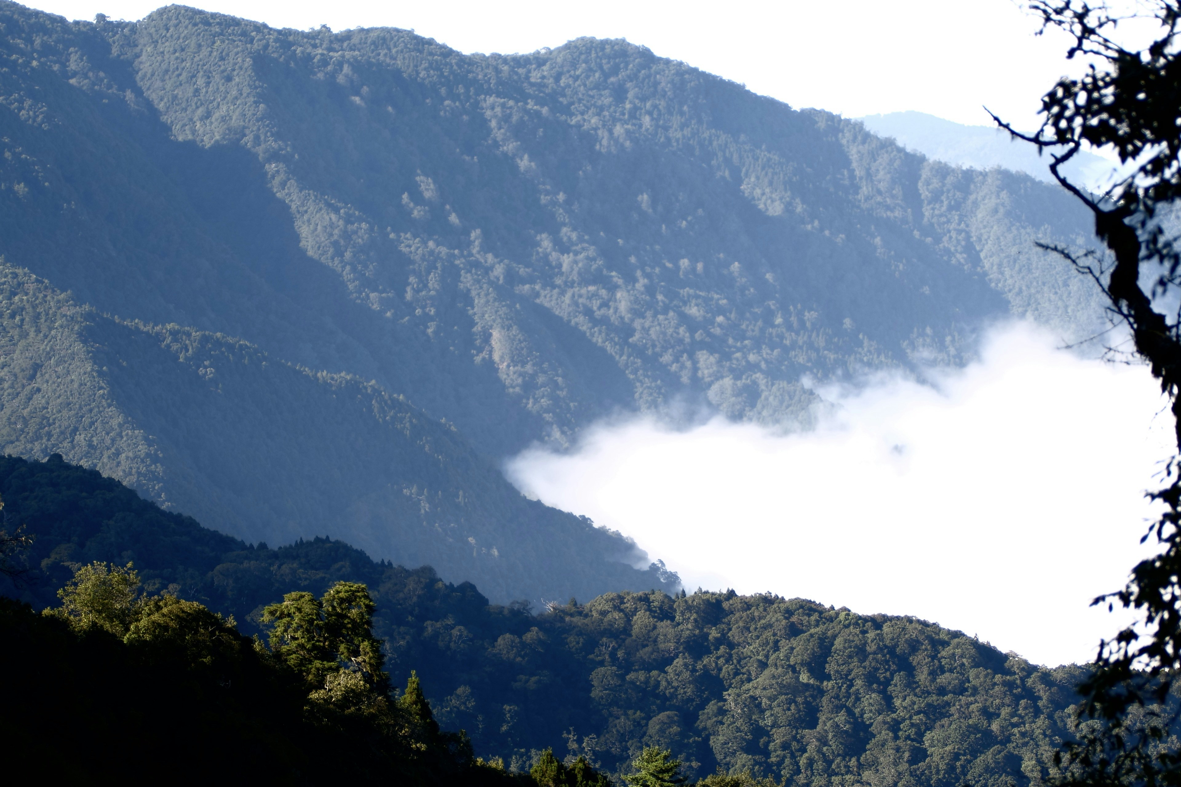 Photo by cocoshalalala