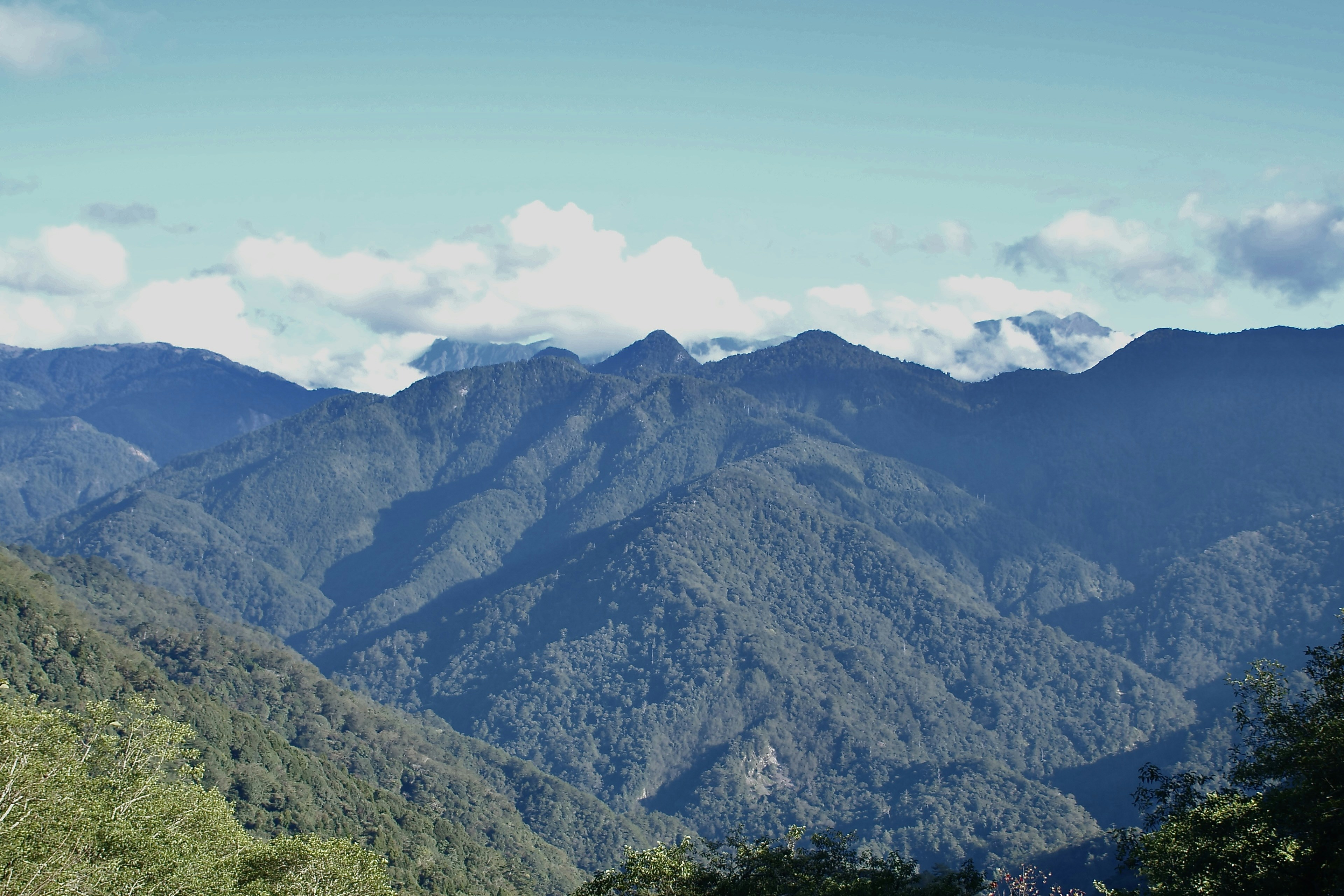 Photo by cocoshalalala