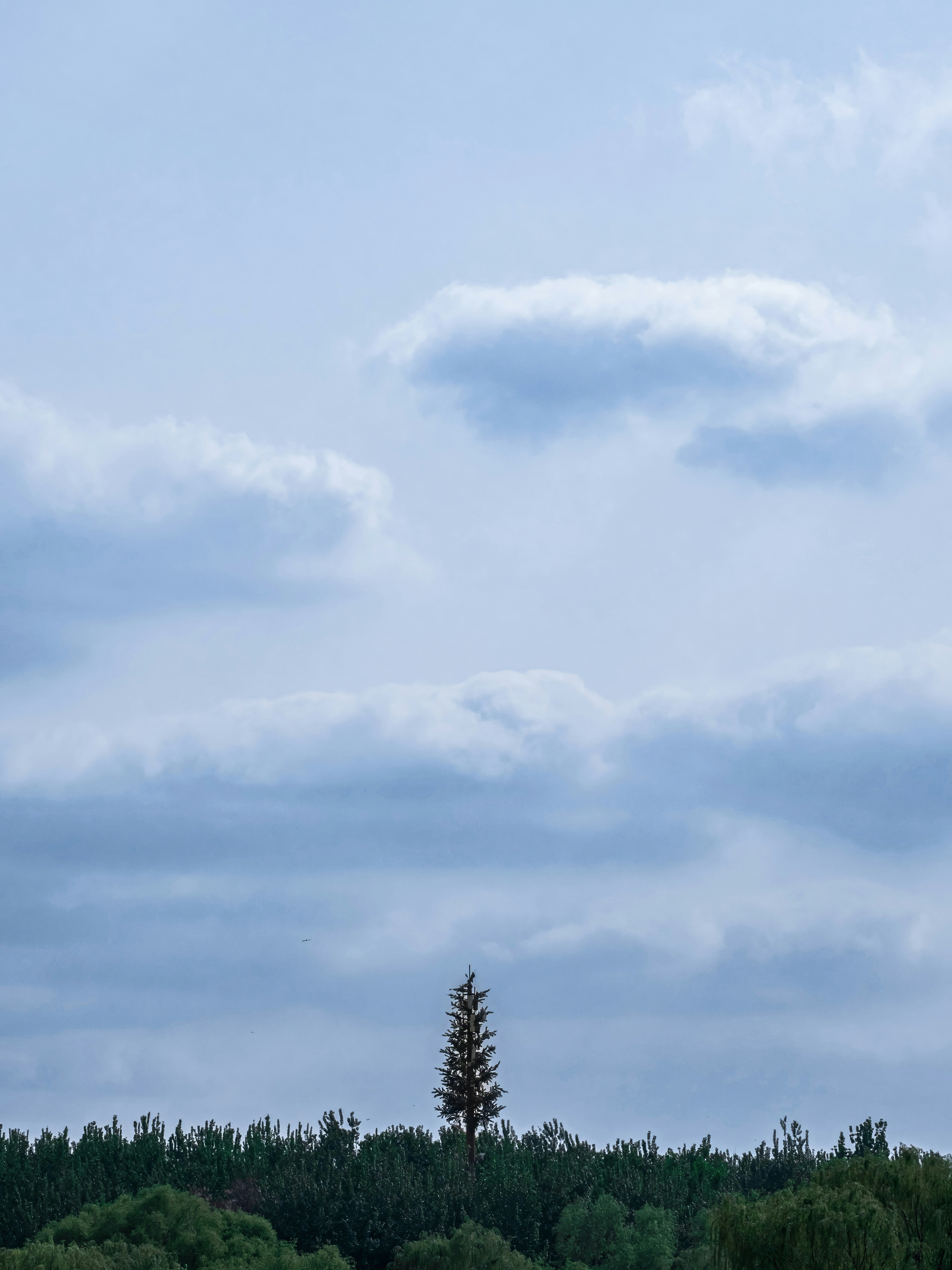 Photo by hattrick1996