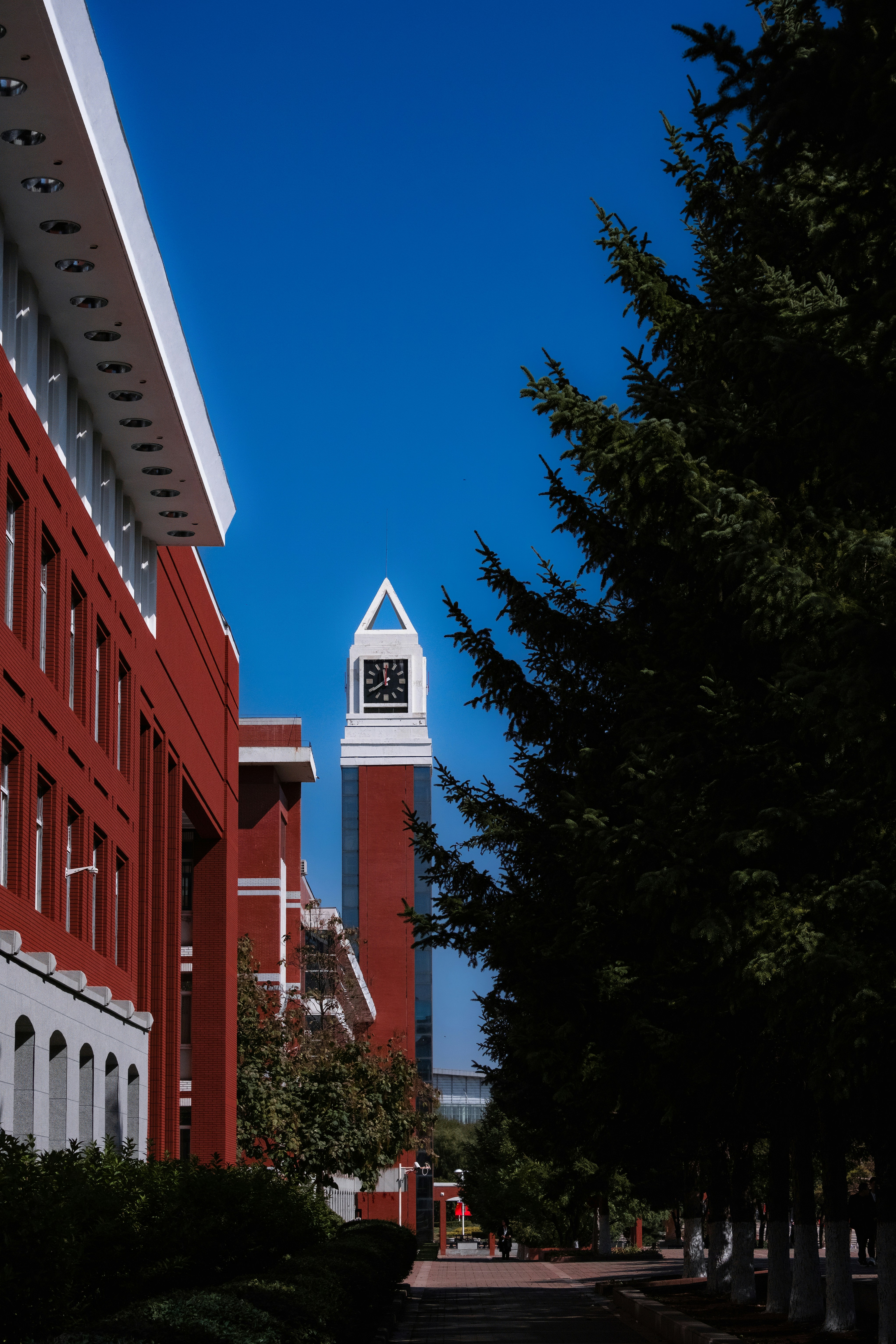 Photo by hattrick1996