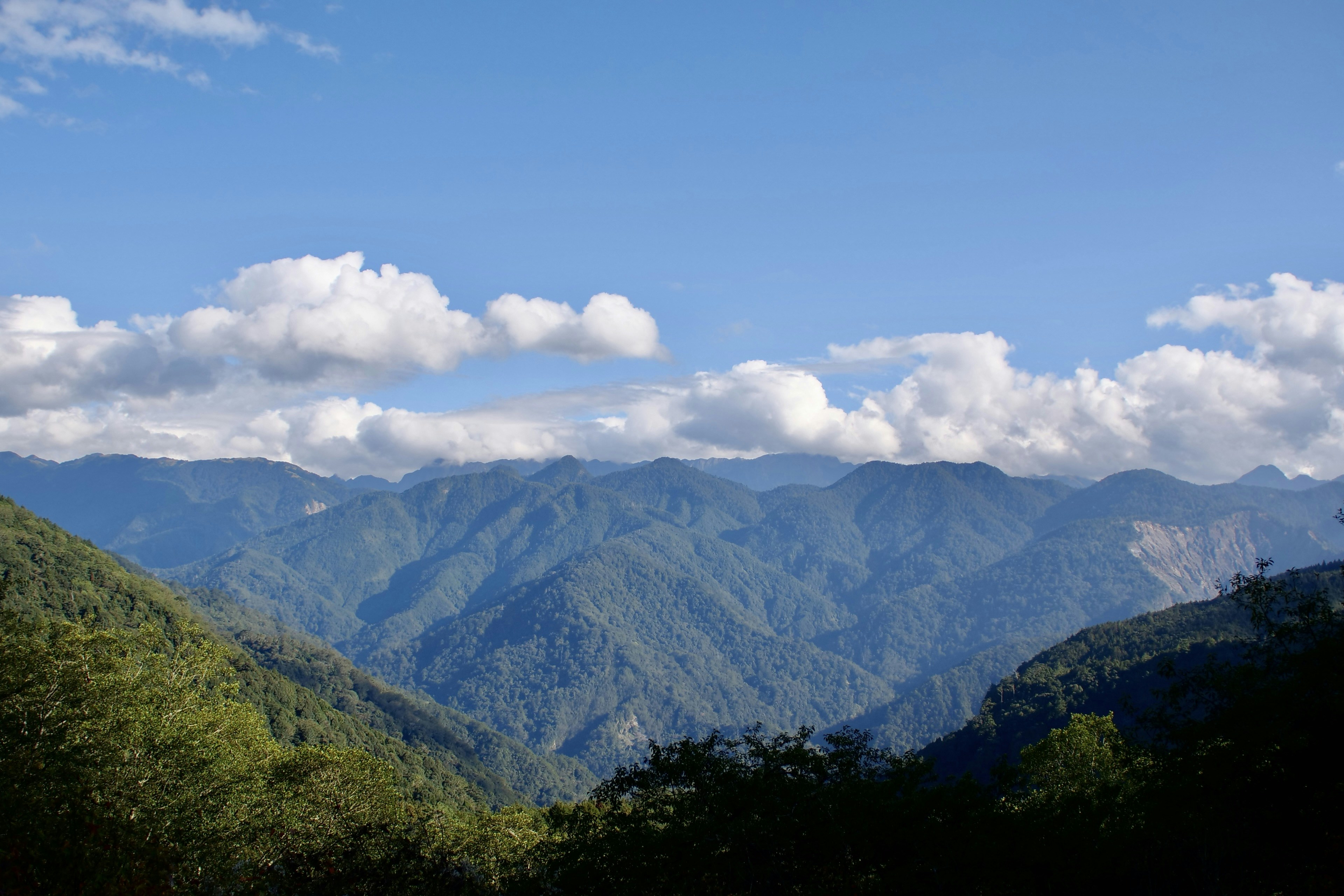 Photo by cocoshalalala