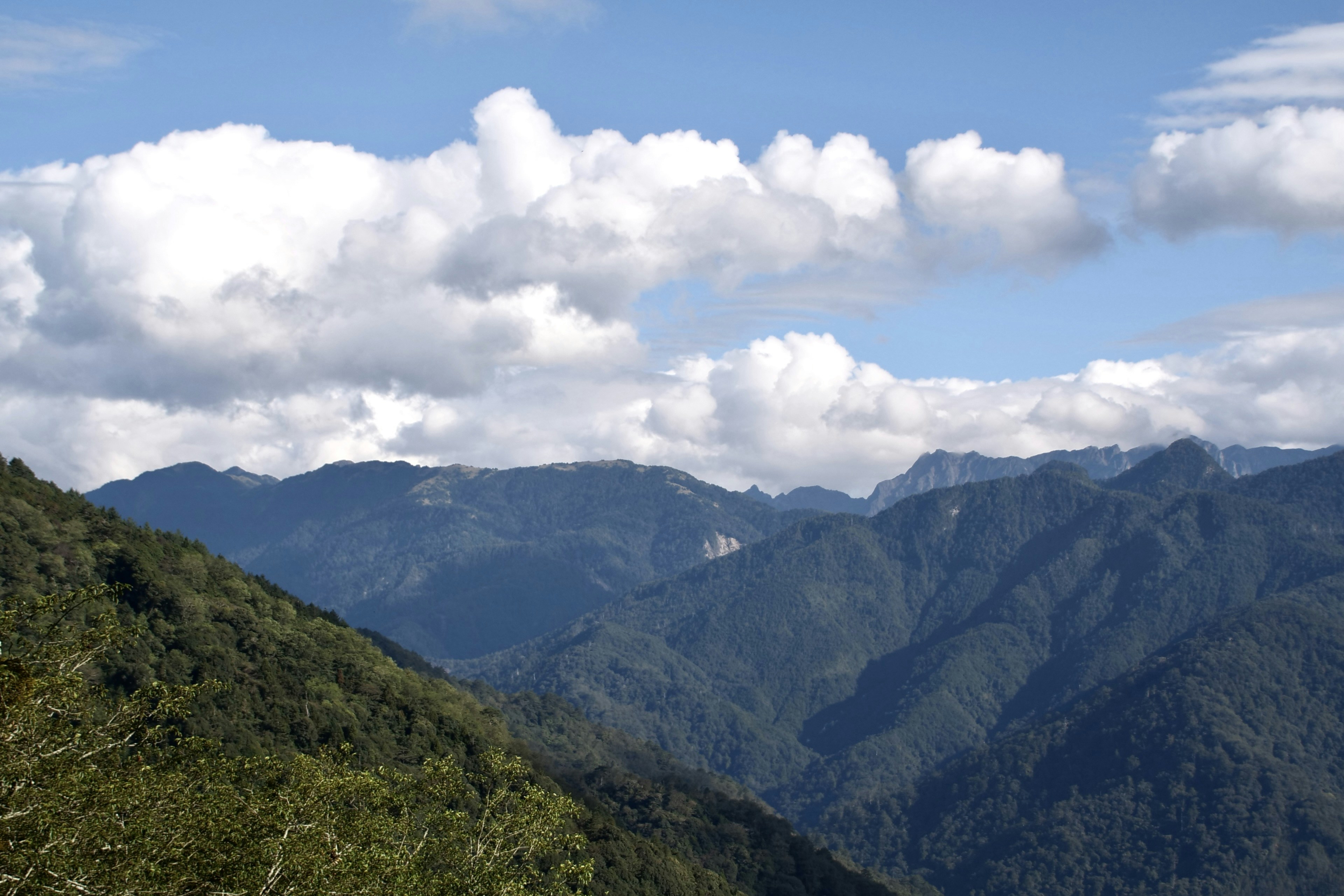 Photo by cocoshalalala