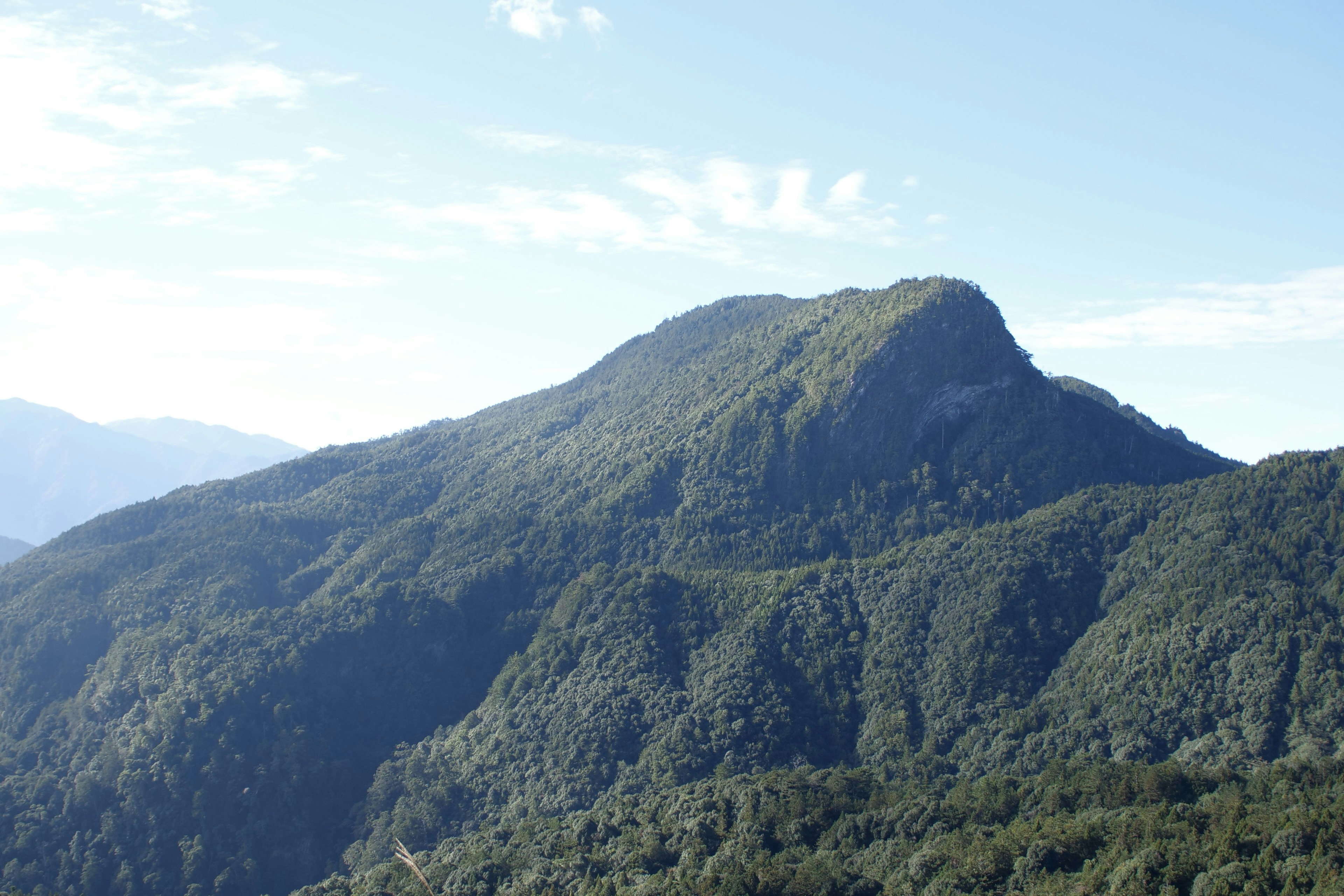 Photo by cocoshalalala