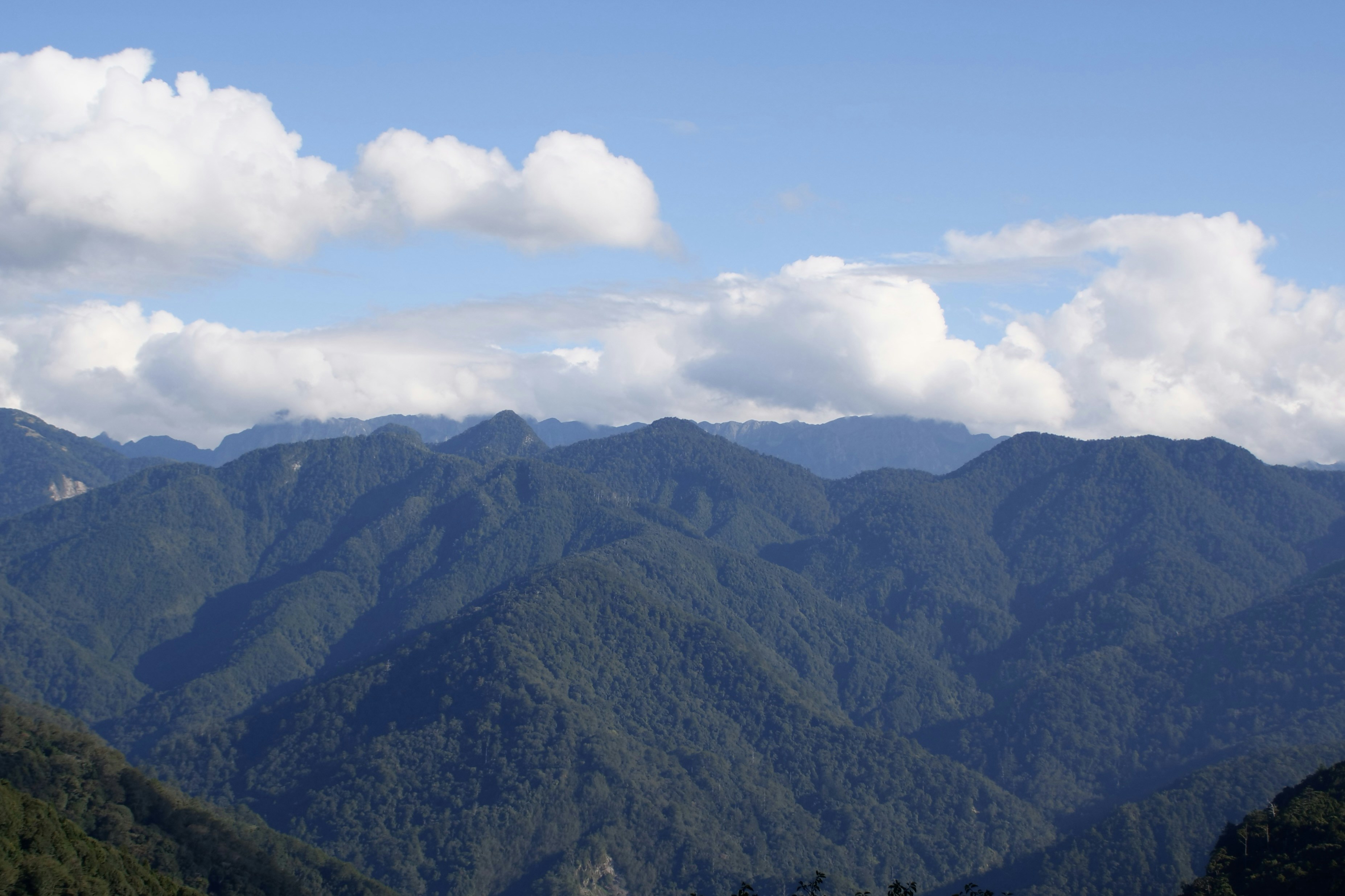 Photo by cocoshalalala