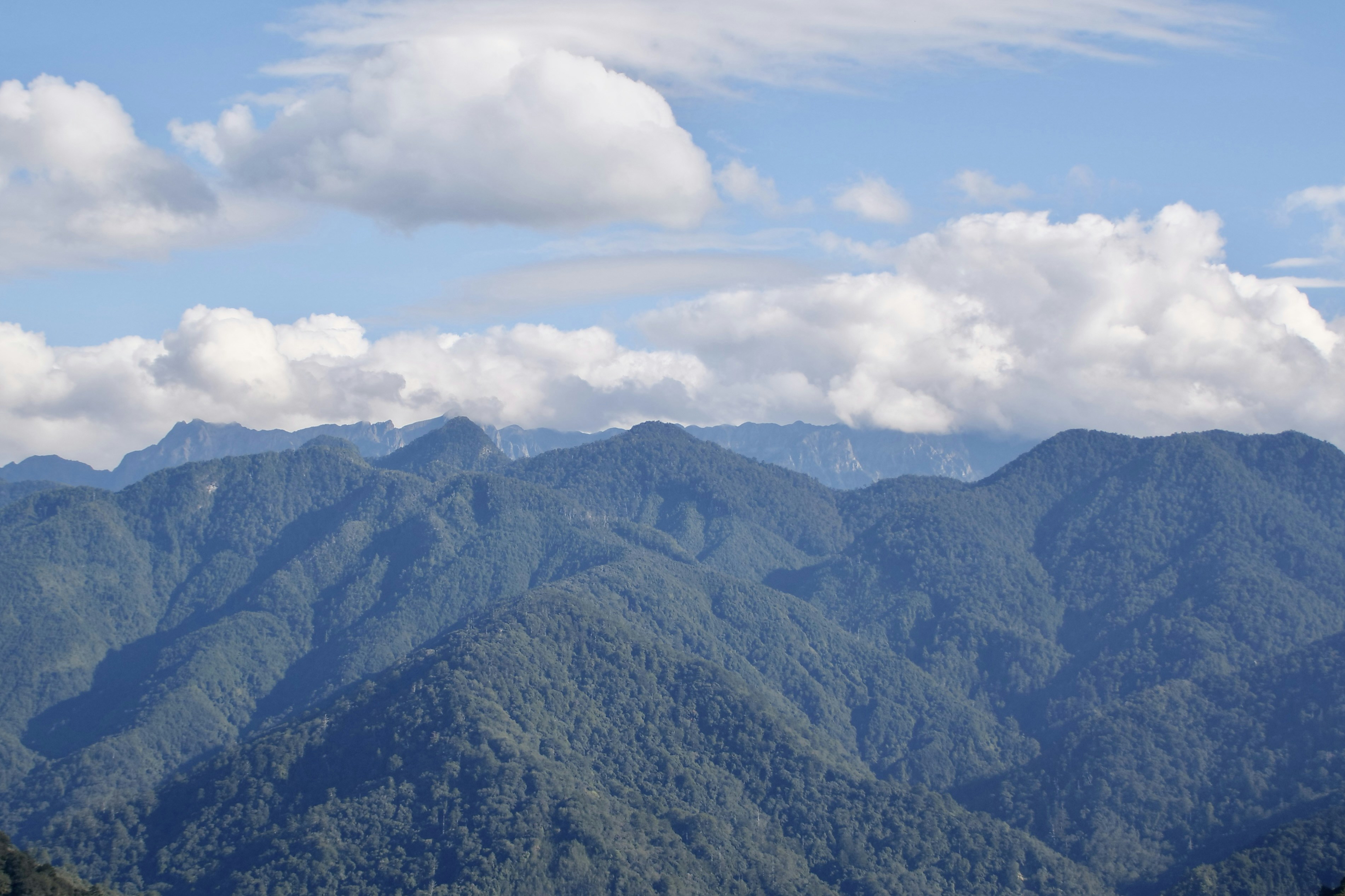 Photo by cocoshalalala