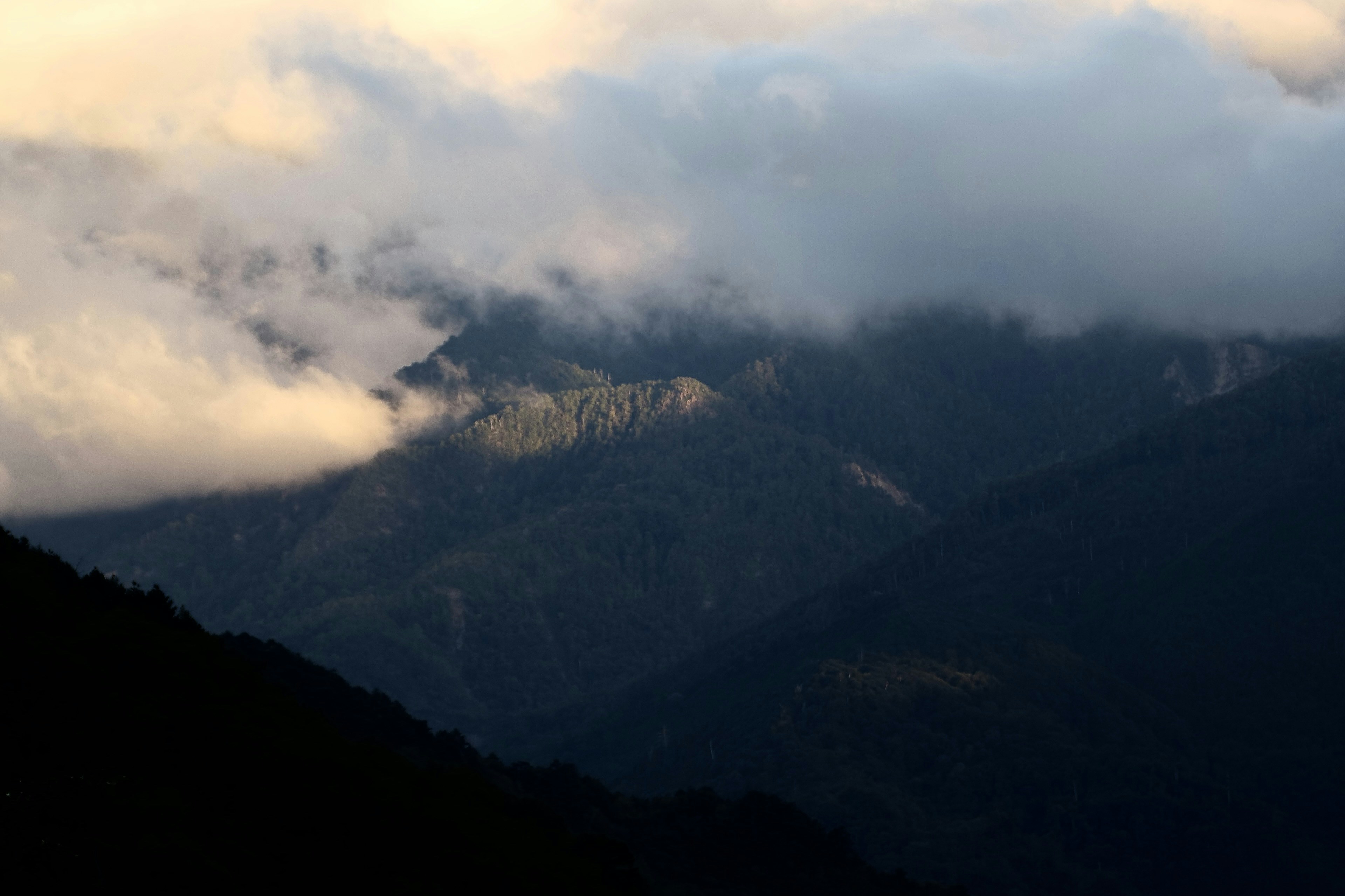 Photo by cocoshalalala