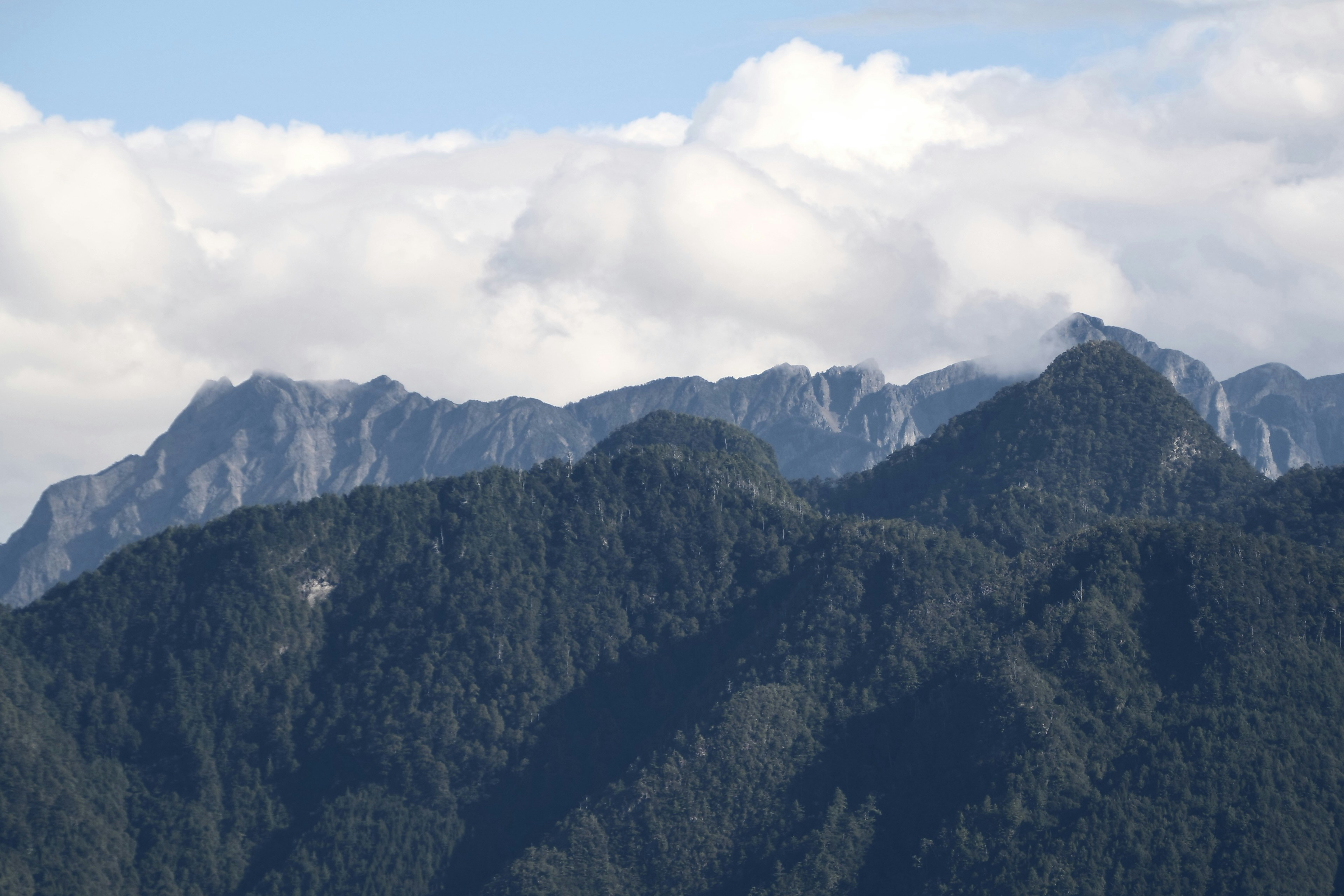 Photo by cocoshalalala