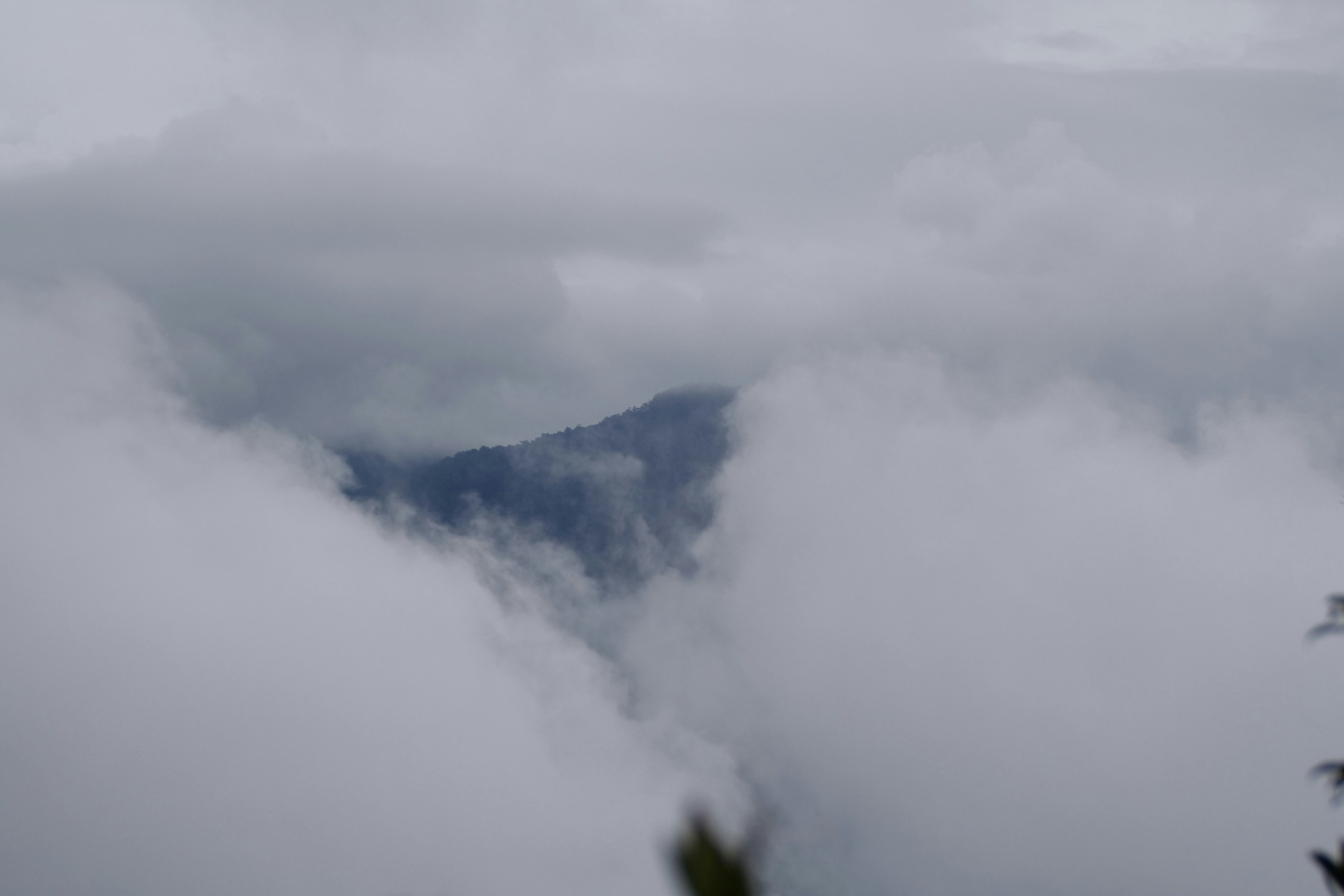 Photo by cocoshalalala