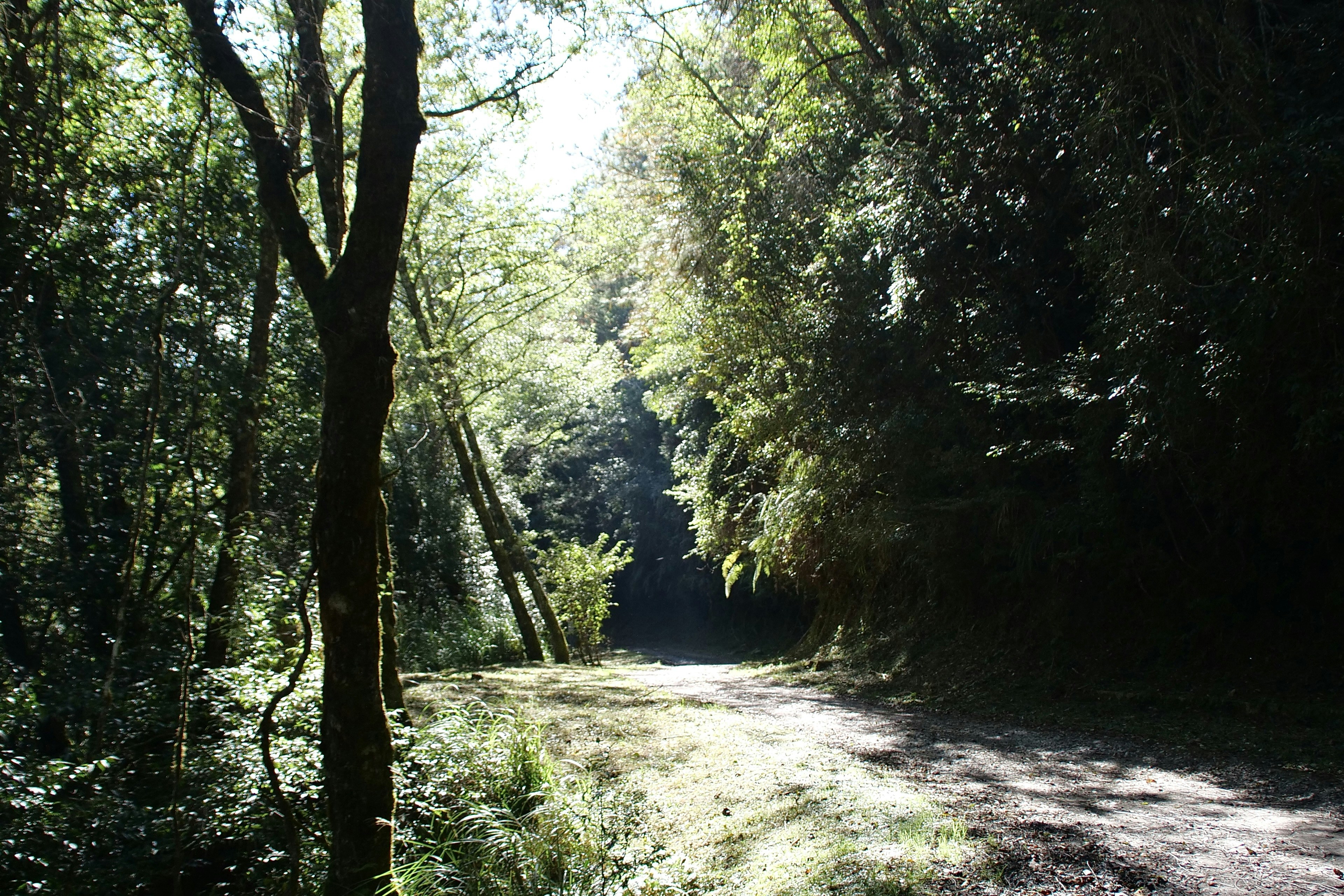 Photo by cocoshalalala