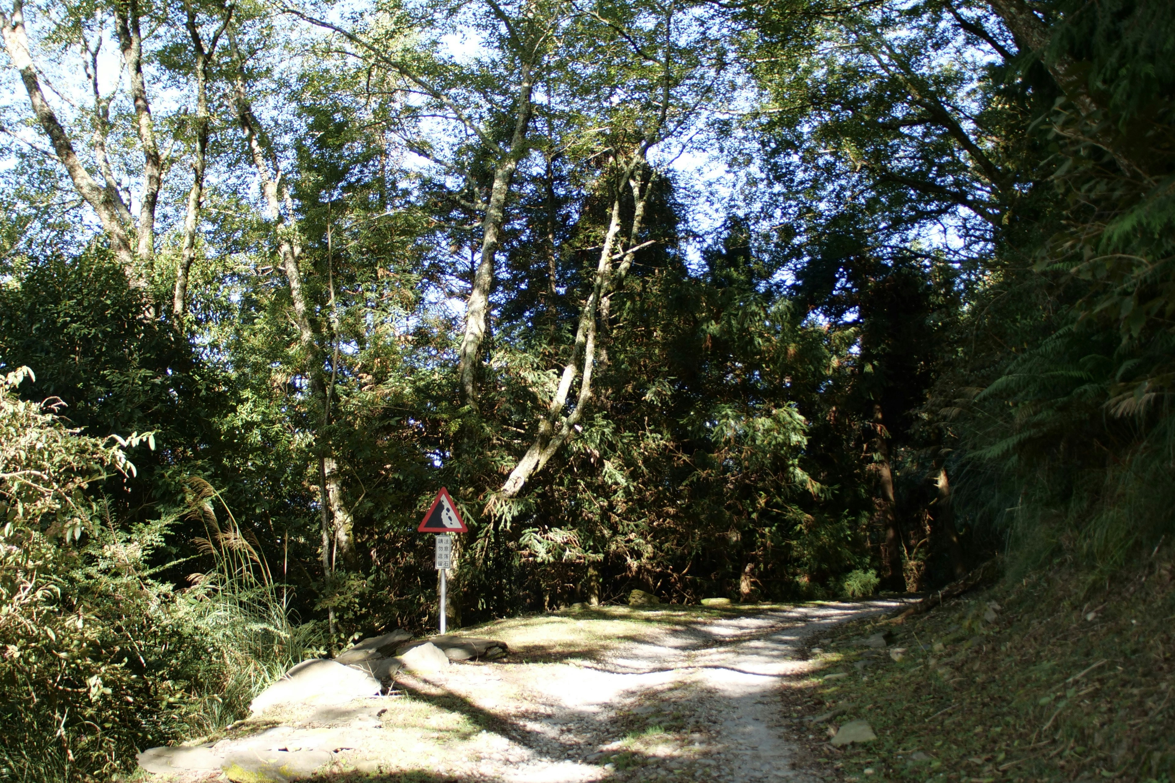 Photo by cocoshalalala