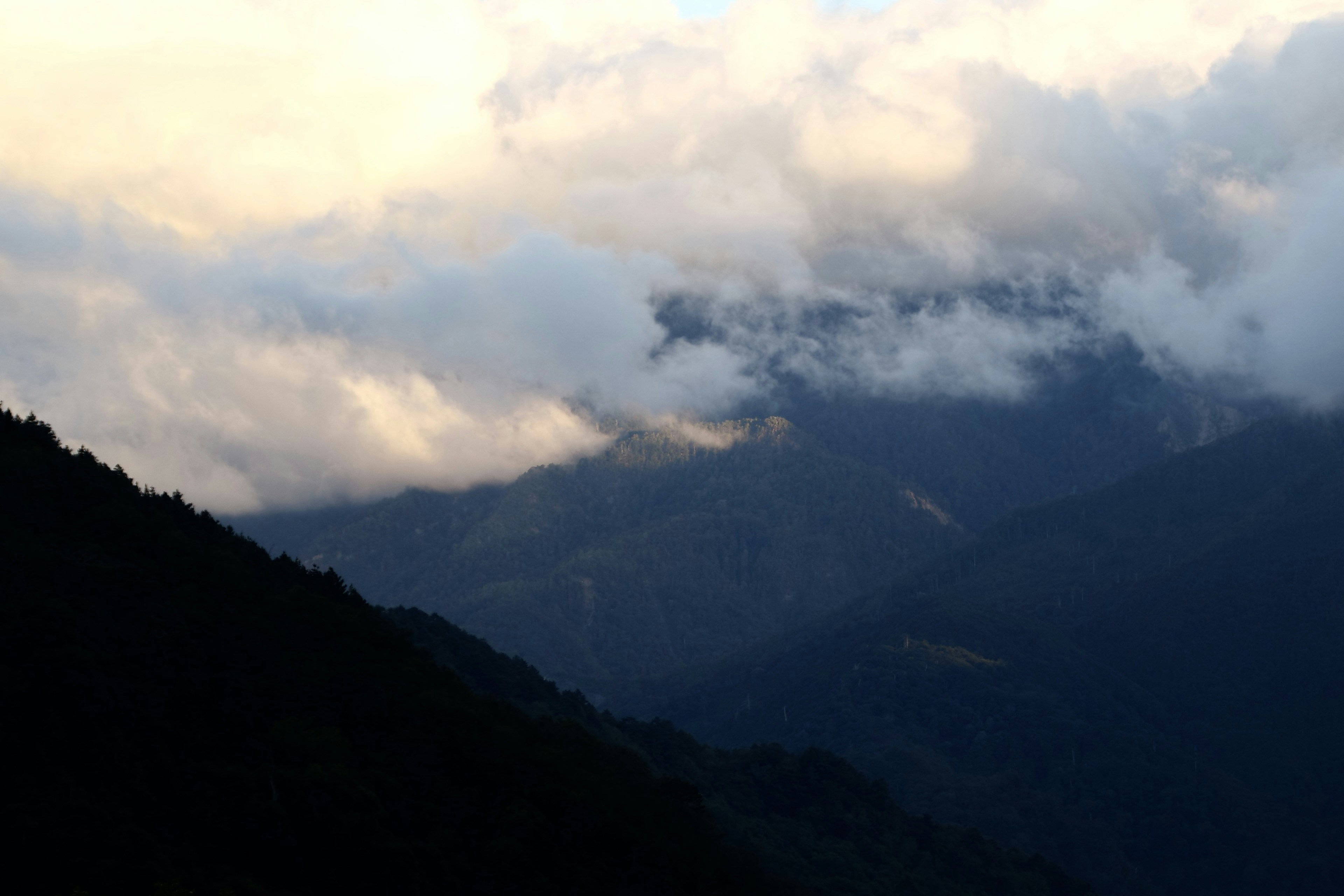 Photo by cocoshalalala