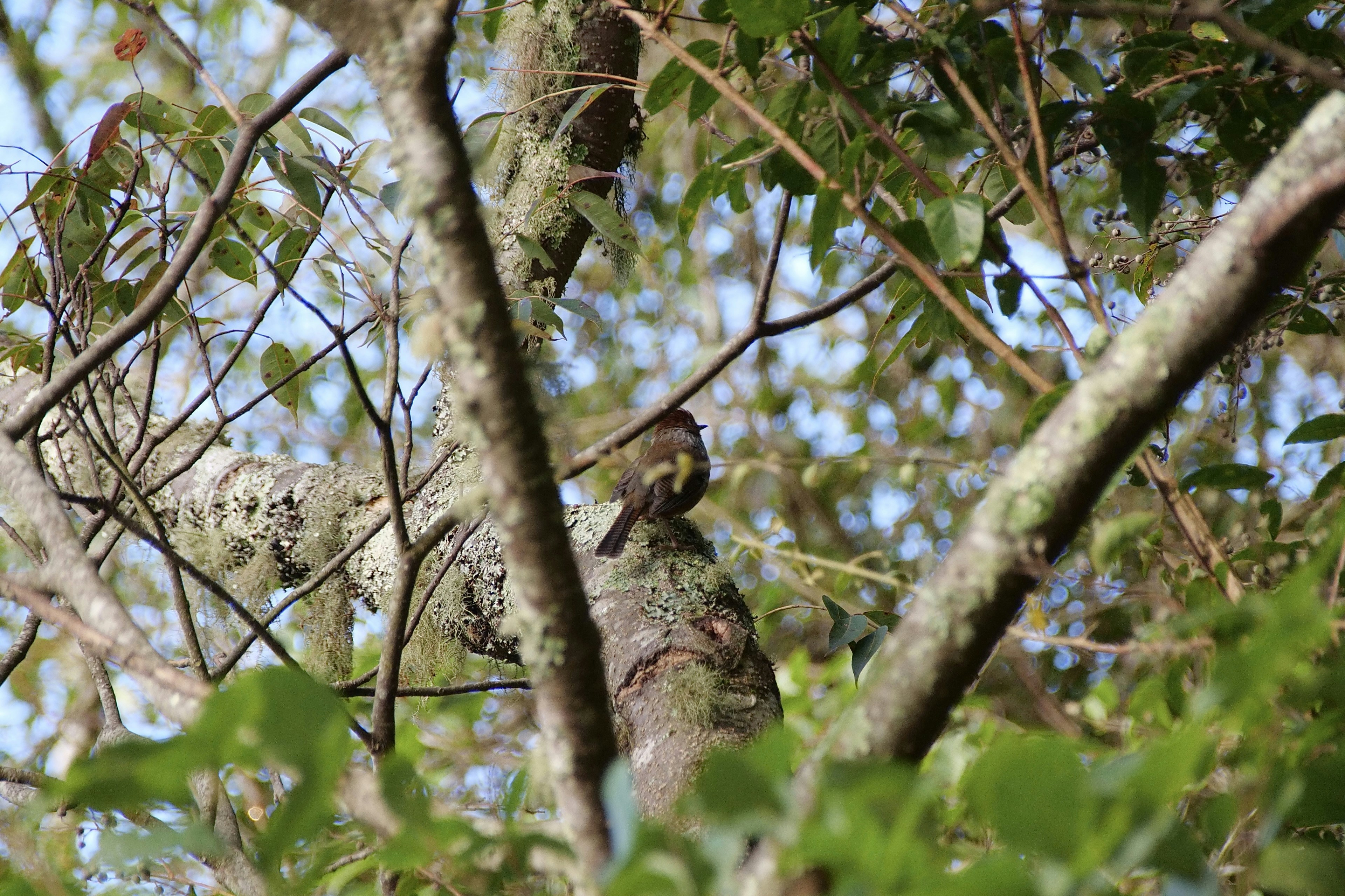 Photo by cocoshalalala