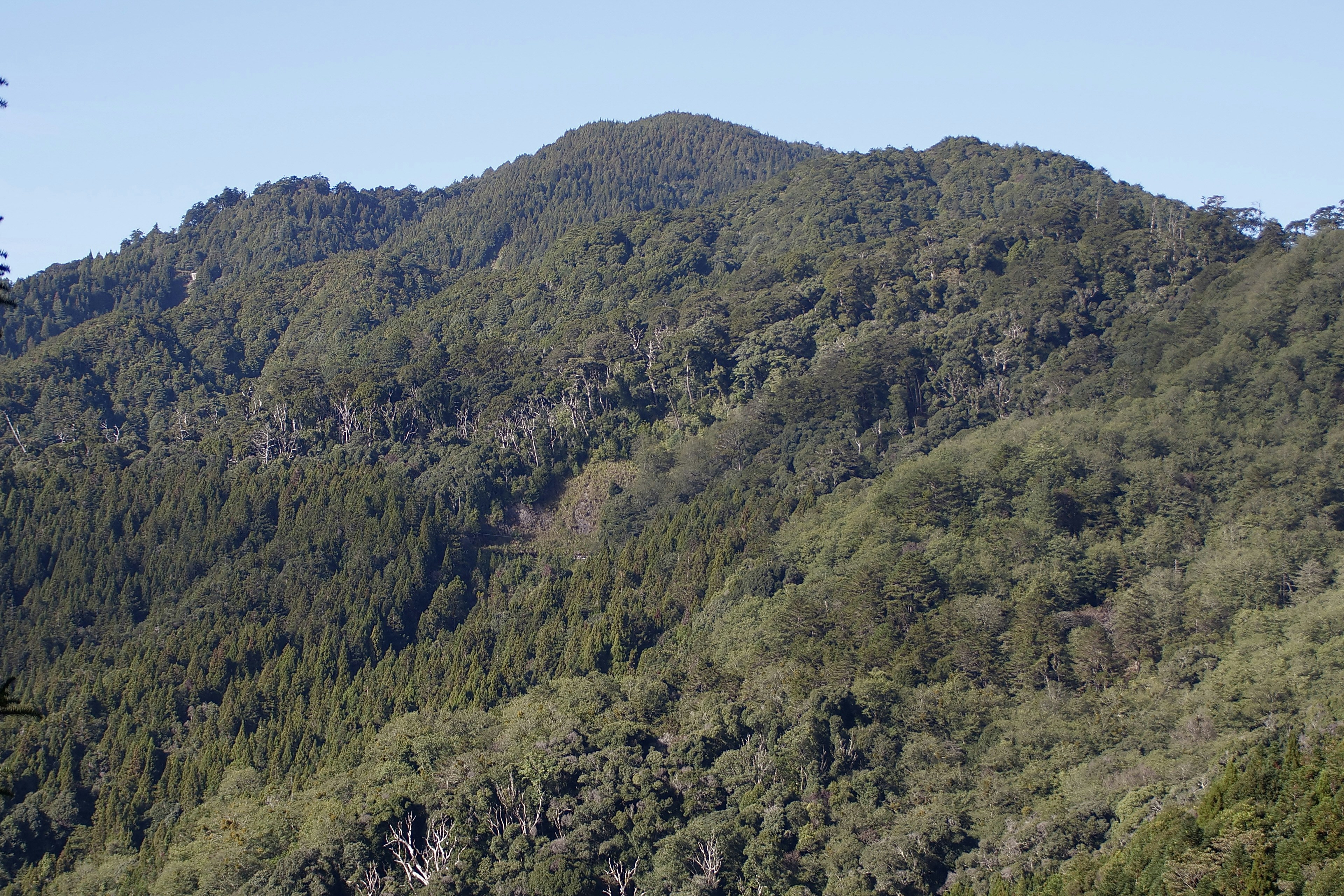 Photo by cocoshalalala