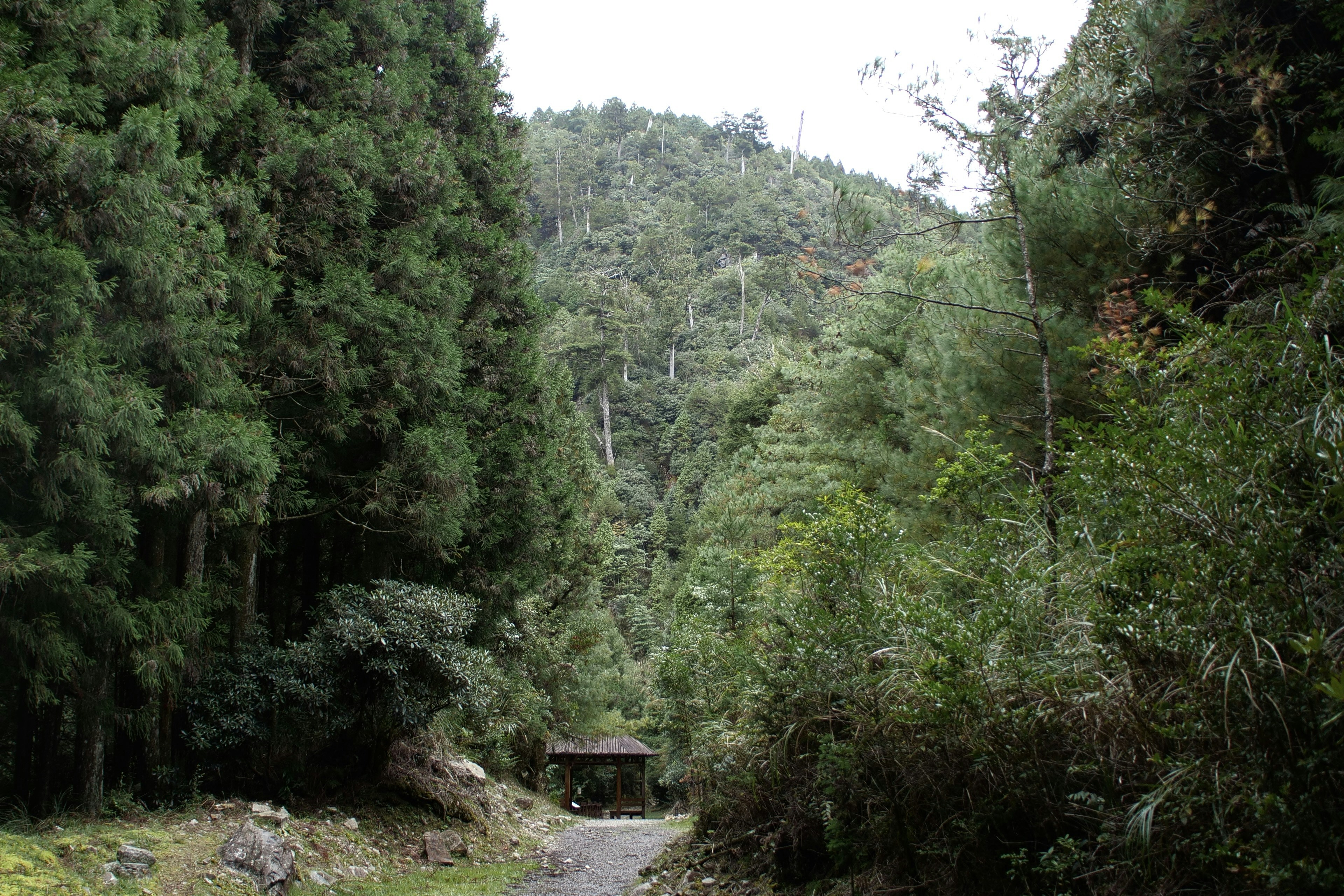 Photo by cocoshalalala