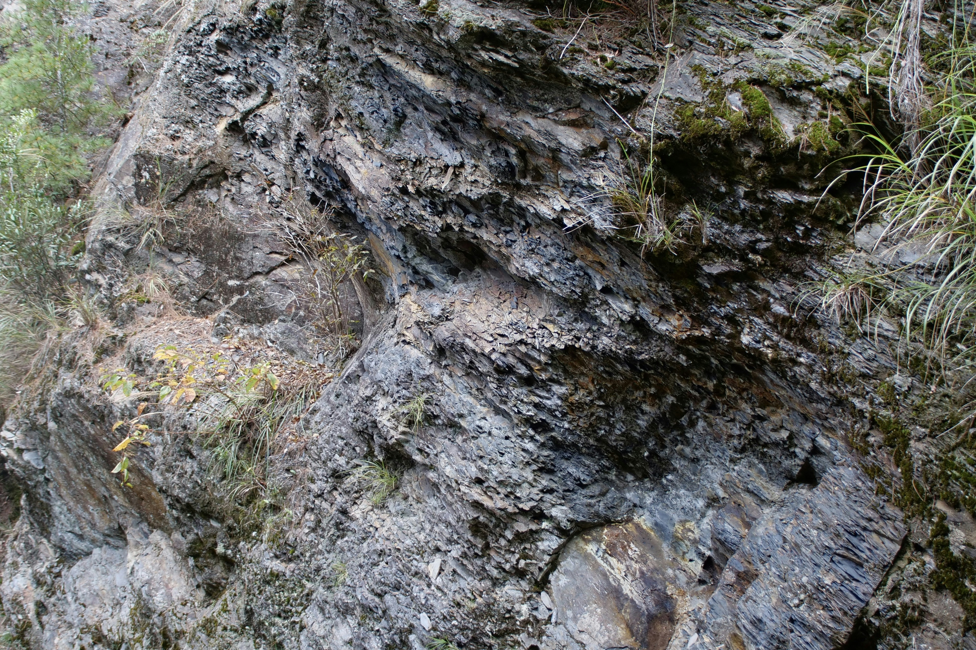 Photo by cocoshalalala