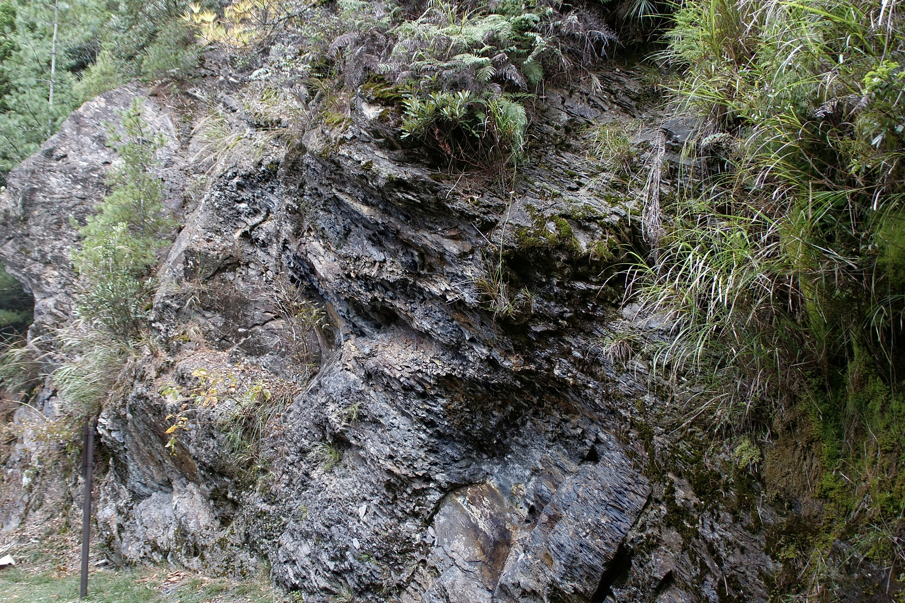 Photo by cocoshalalala