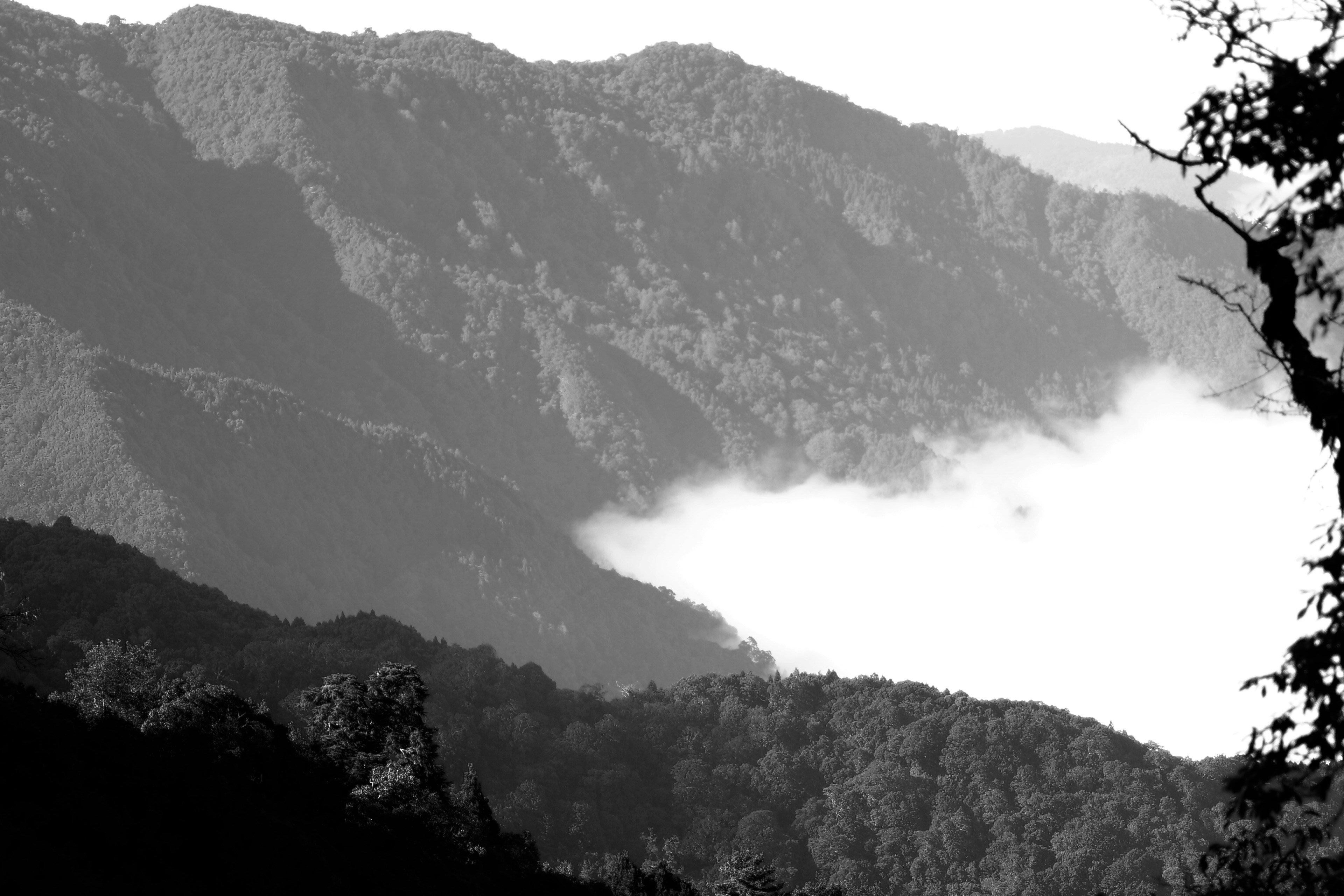 Photo by cocoshalalala