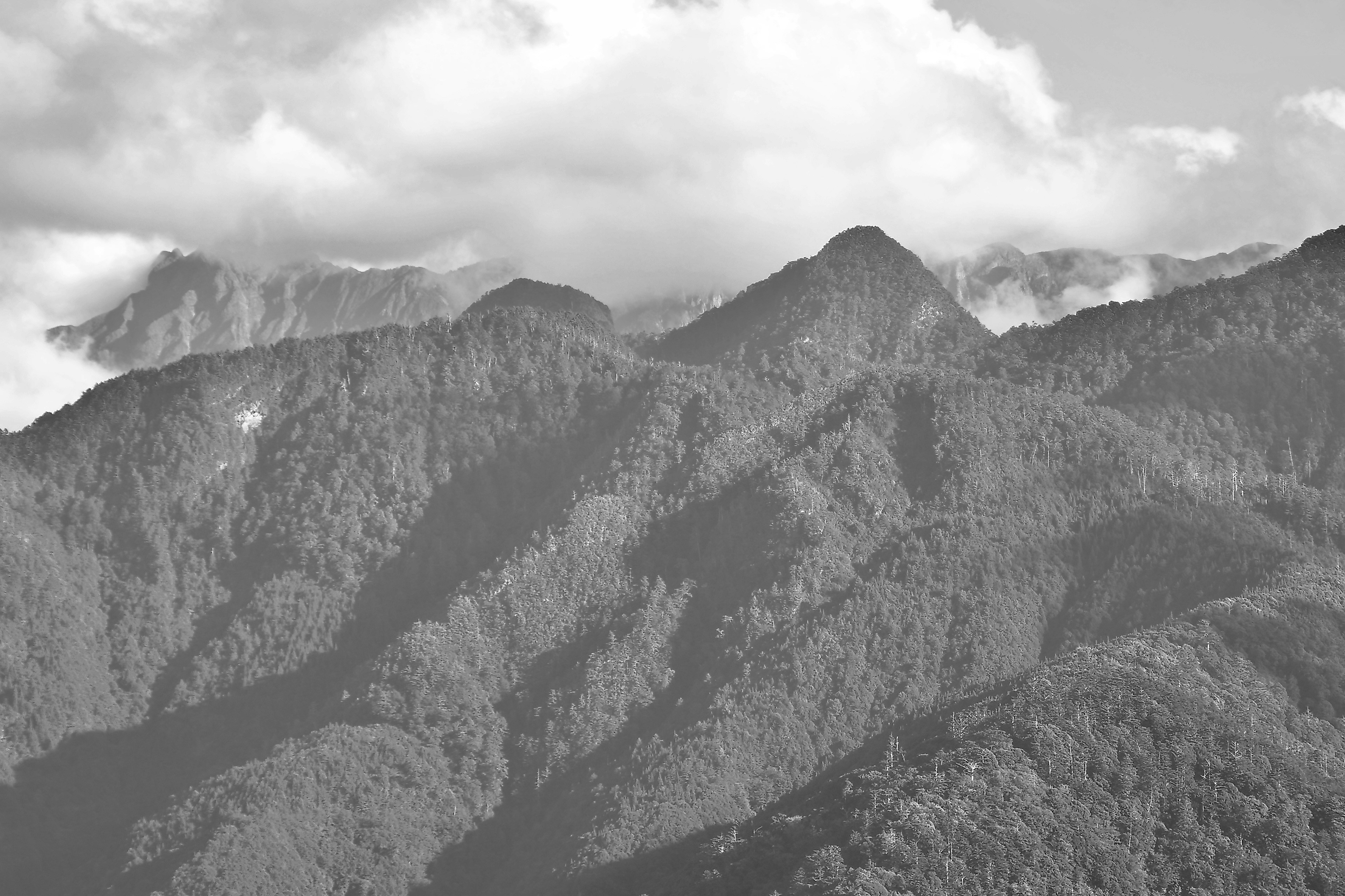 Photo by cocoshalalala