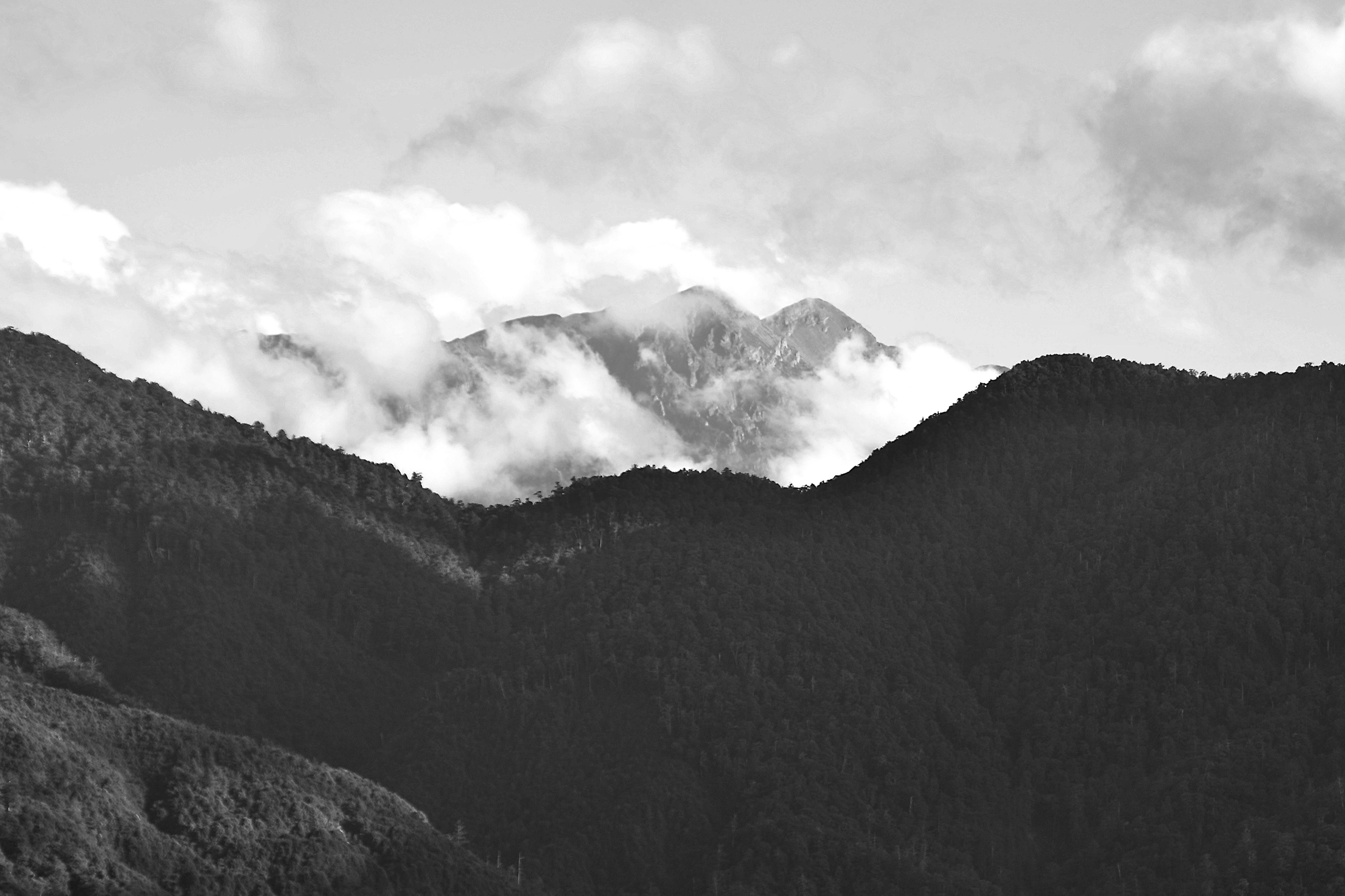 Photo by cocoshalalala