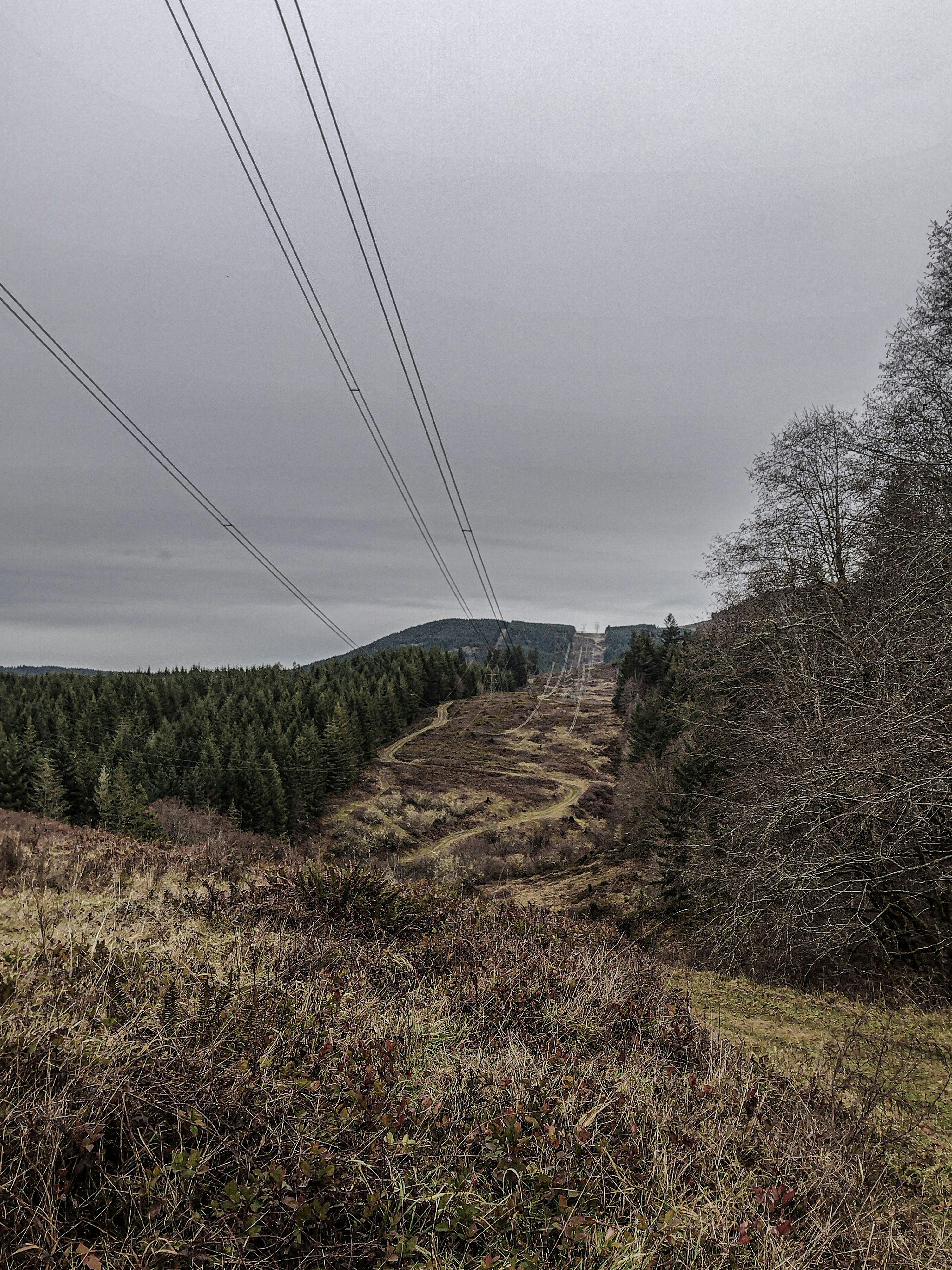 Photo by prphotography262