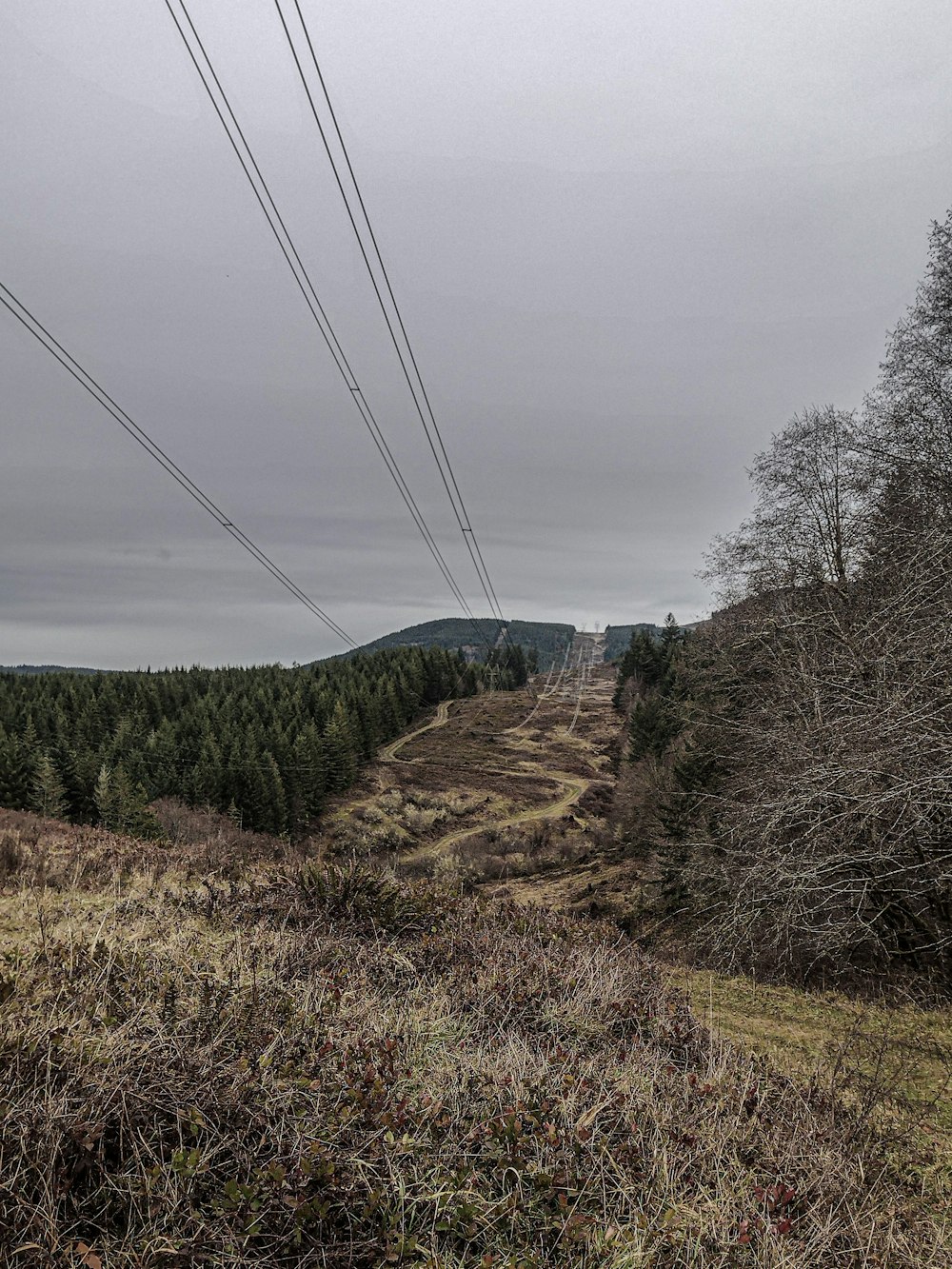 a train traveling through a rural countryside under a cloudy sky