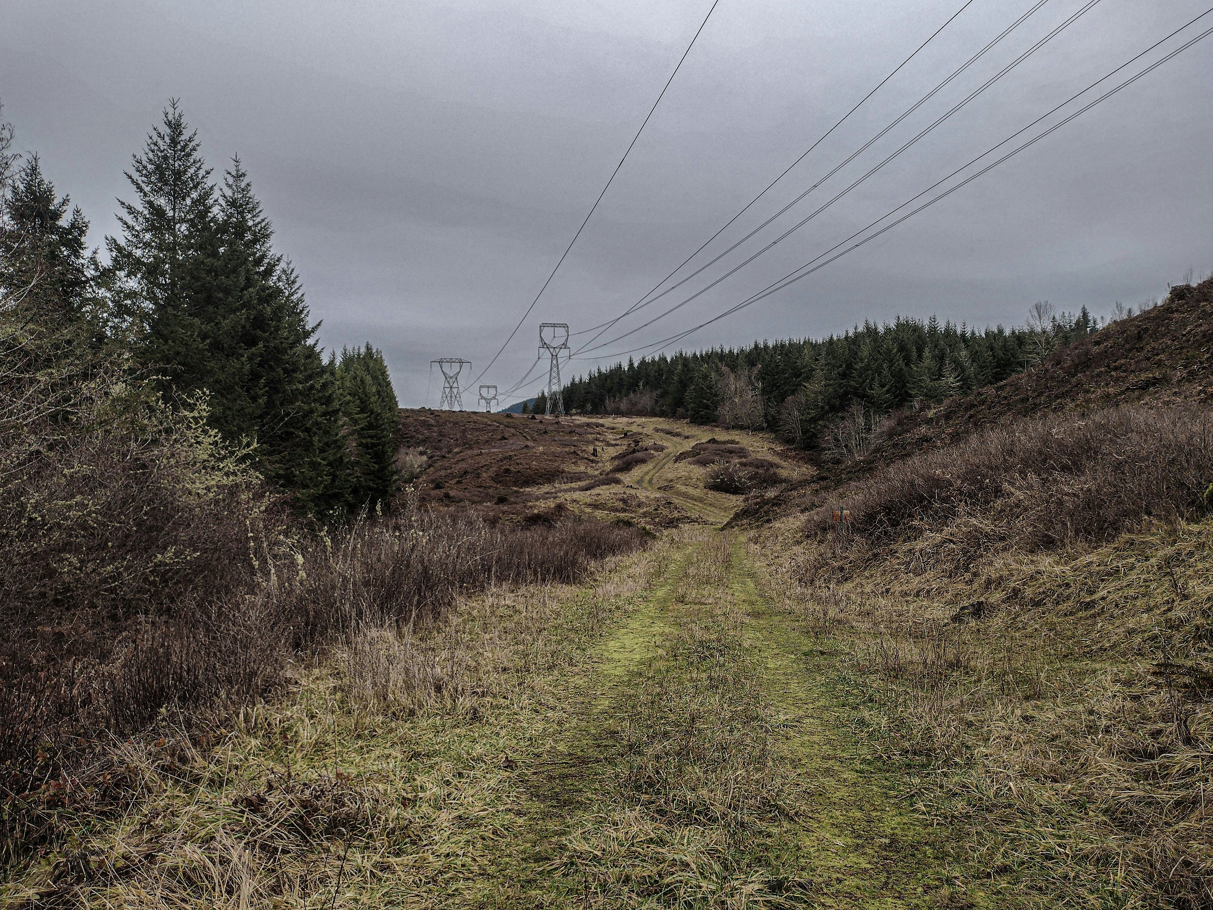 Photo by prphotography262