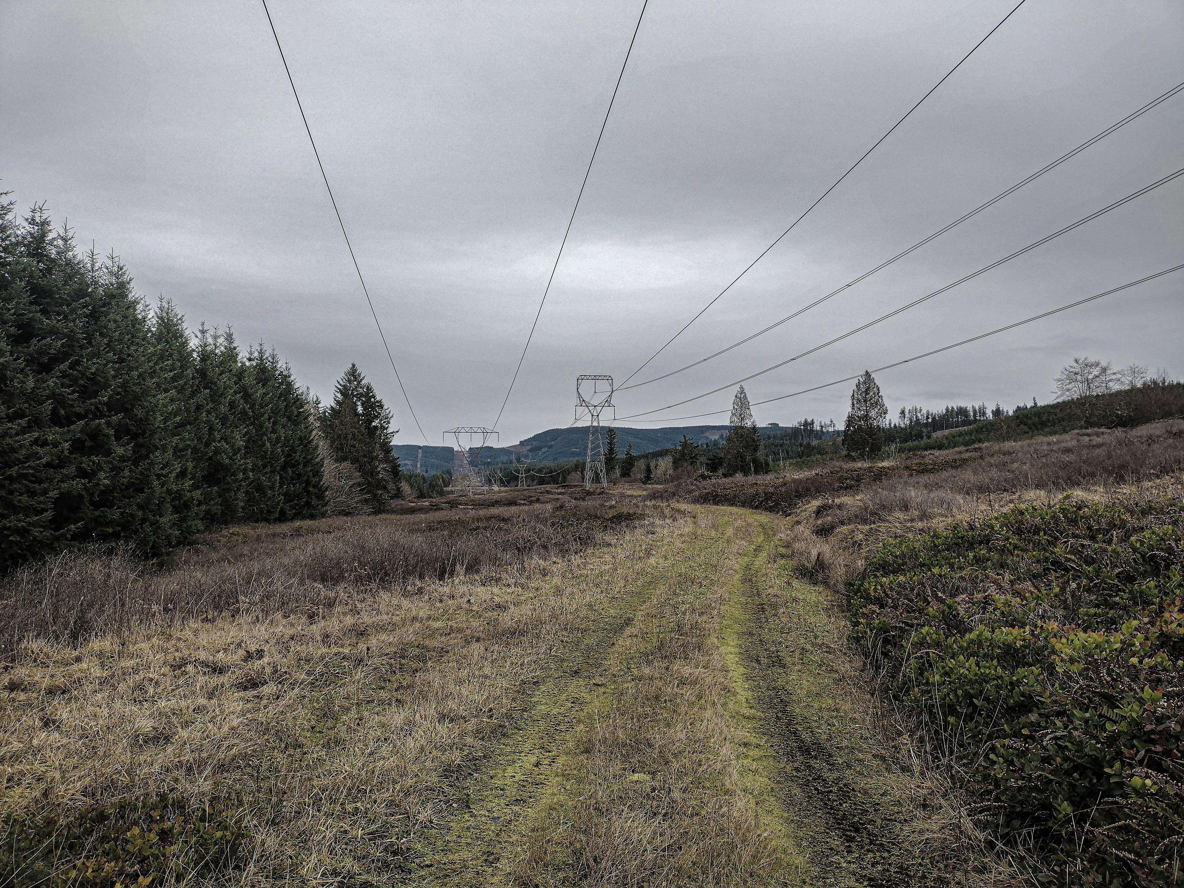 Photo by prphotography262